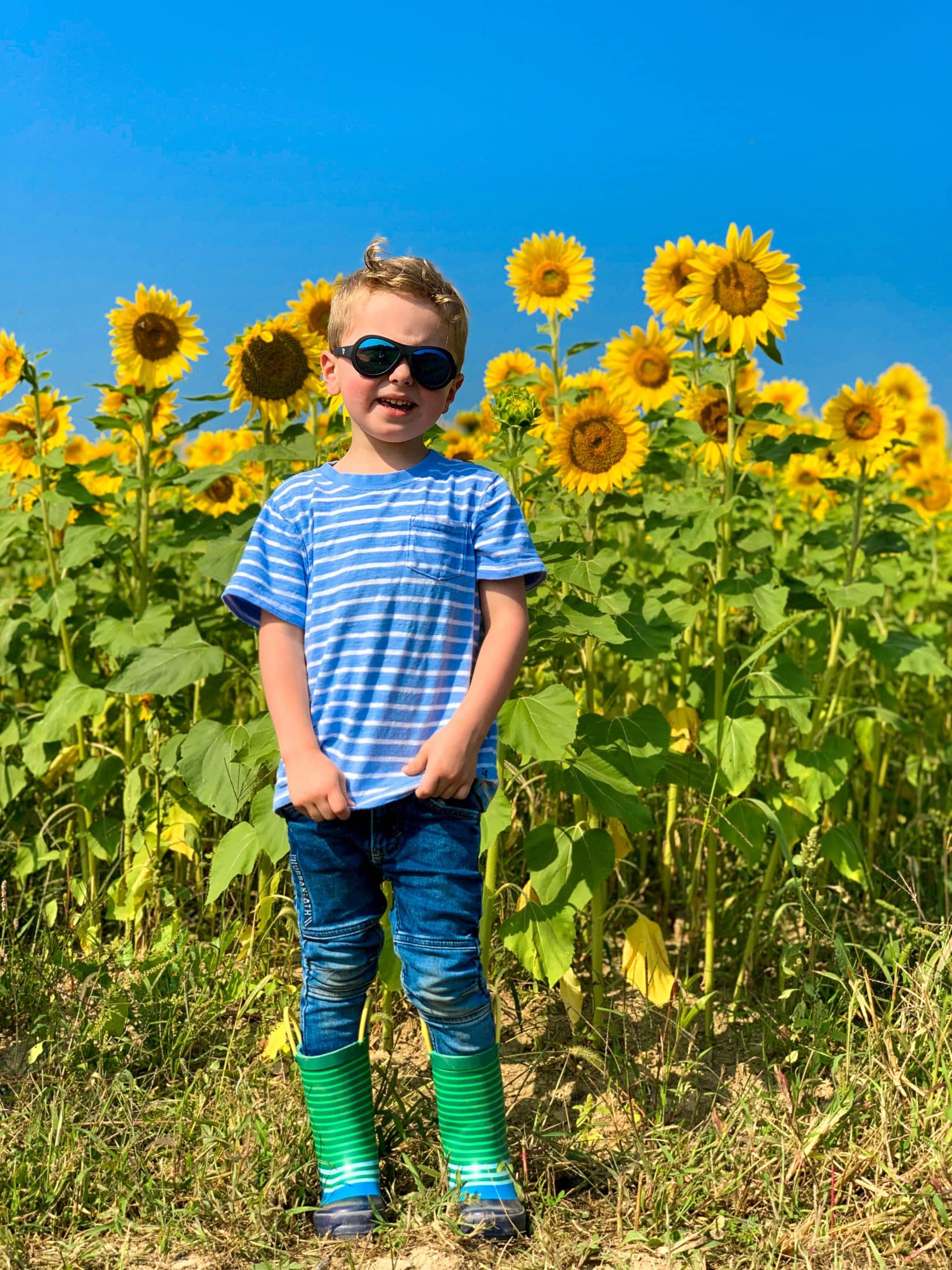 2019 apple picking photo diary I howsweeteats