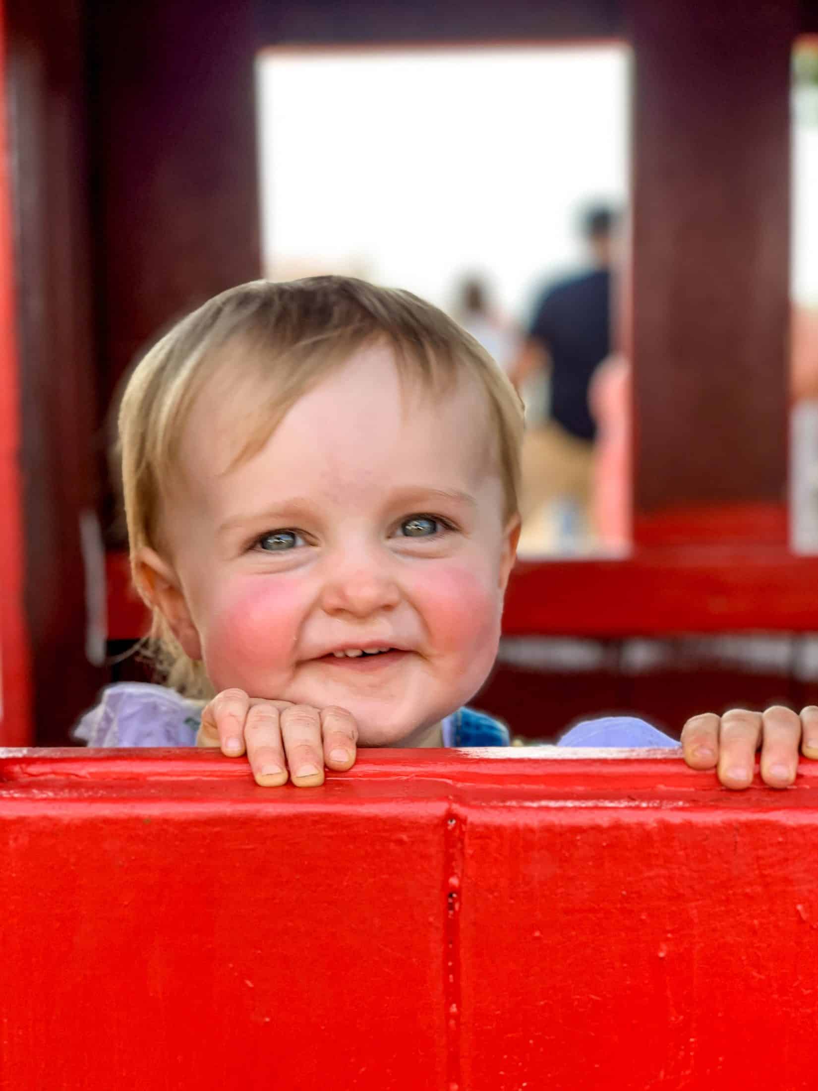 2019 apple picking photo diary I howsweeteats