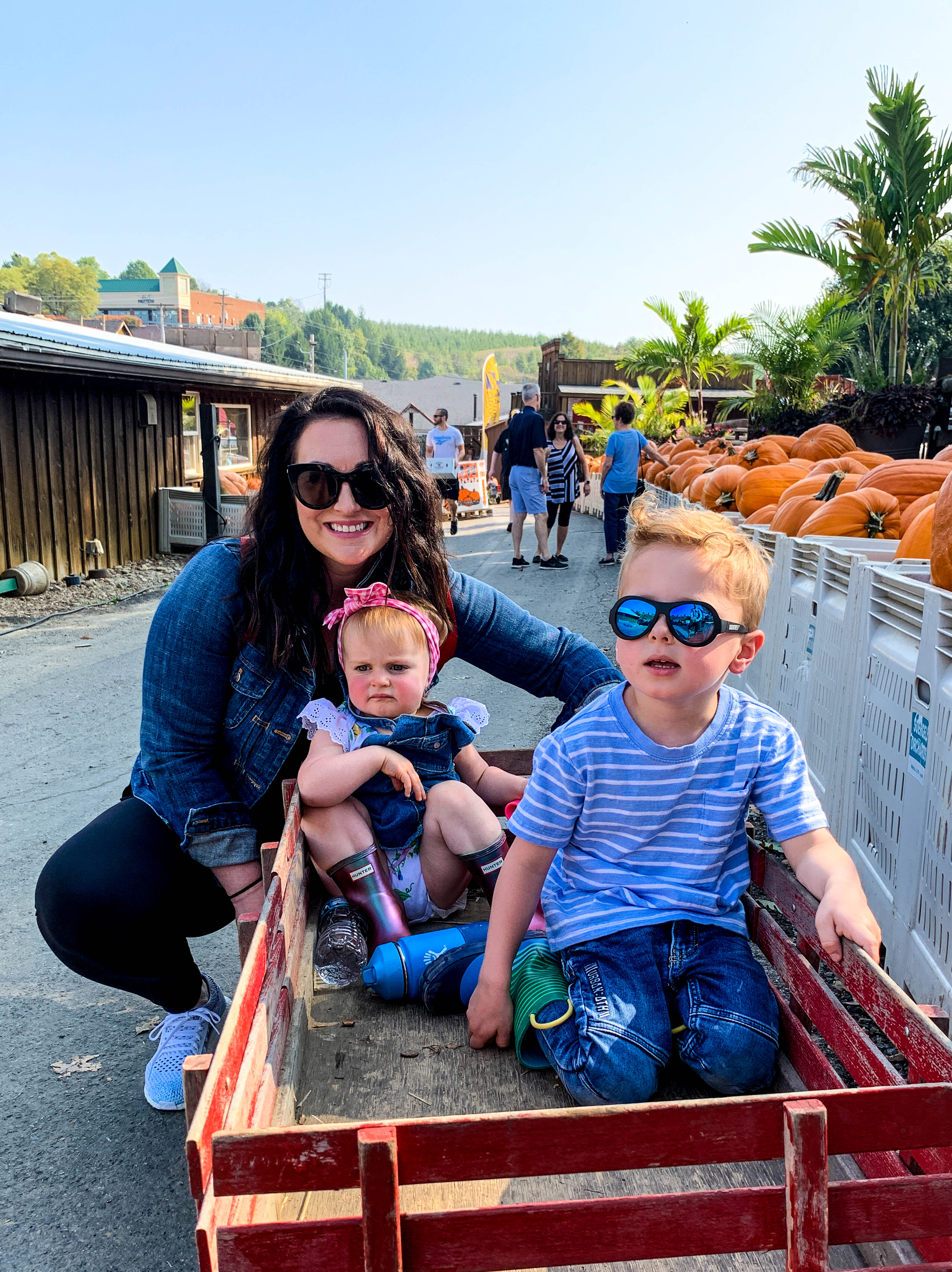 2019 apple picking photo diary I howsweeteats