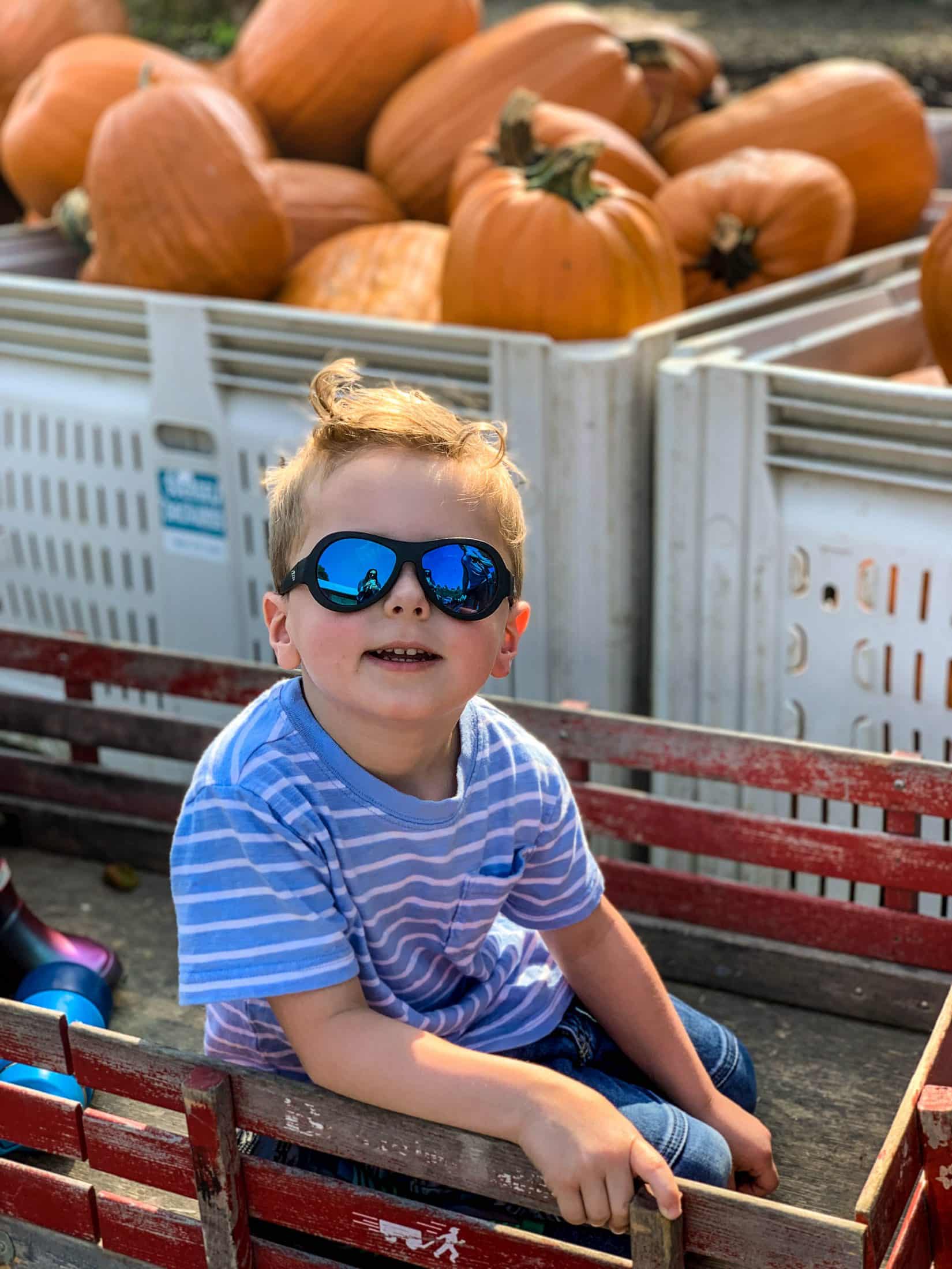2019 apple picking photo diary I howsweeteats