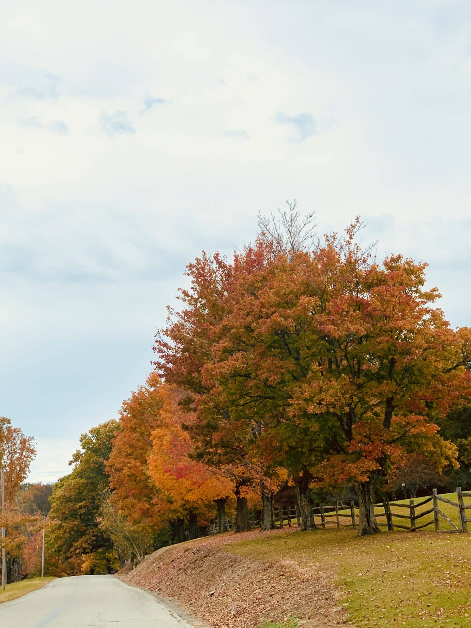 currently crushing on