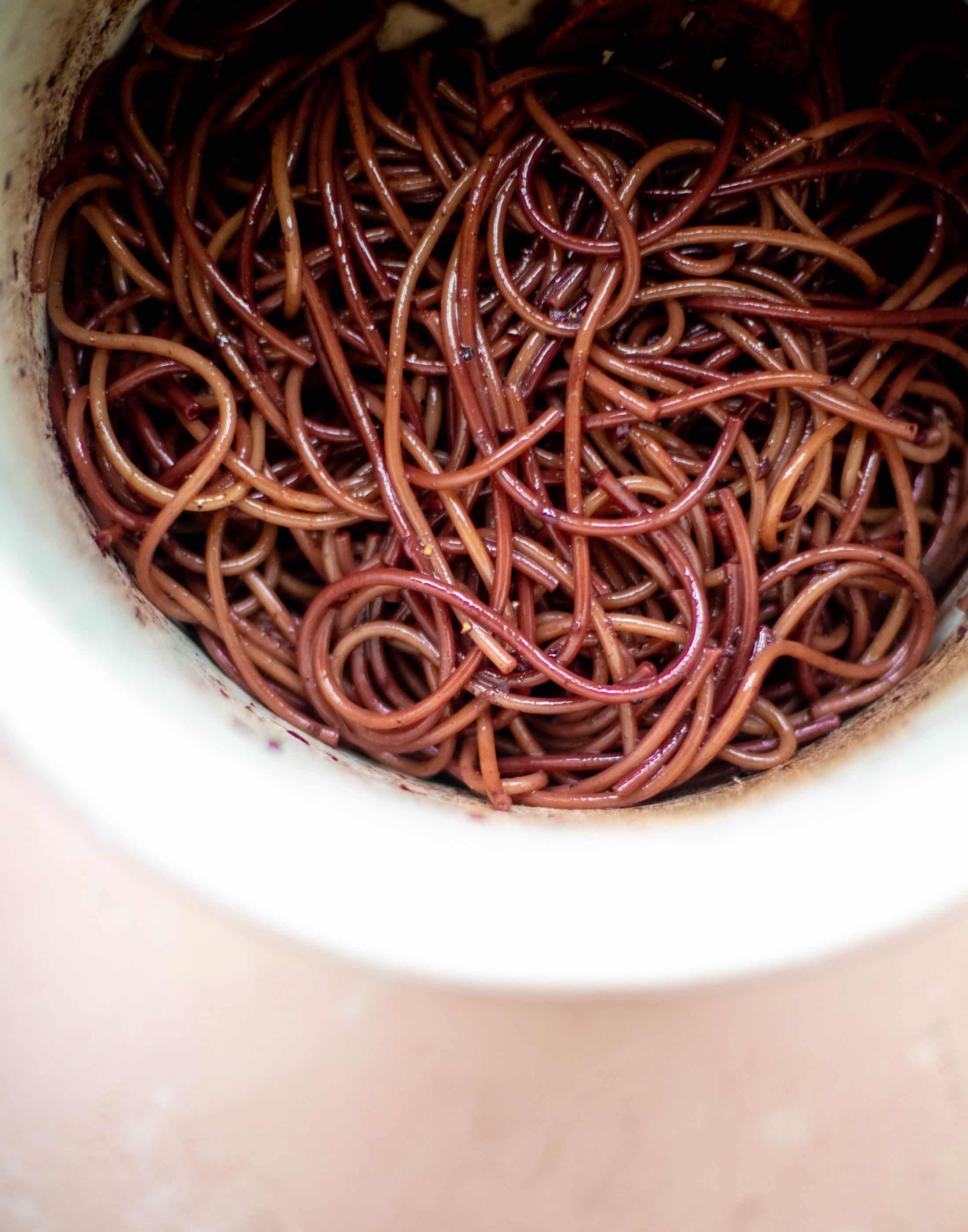 This red wine pasta is an easy, flavorful dinner! Red wine cooked down with garlic and butter until sauce-like. Throw in noodles and you have dinner!