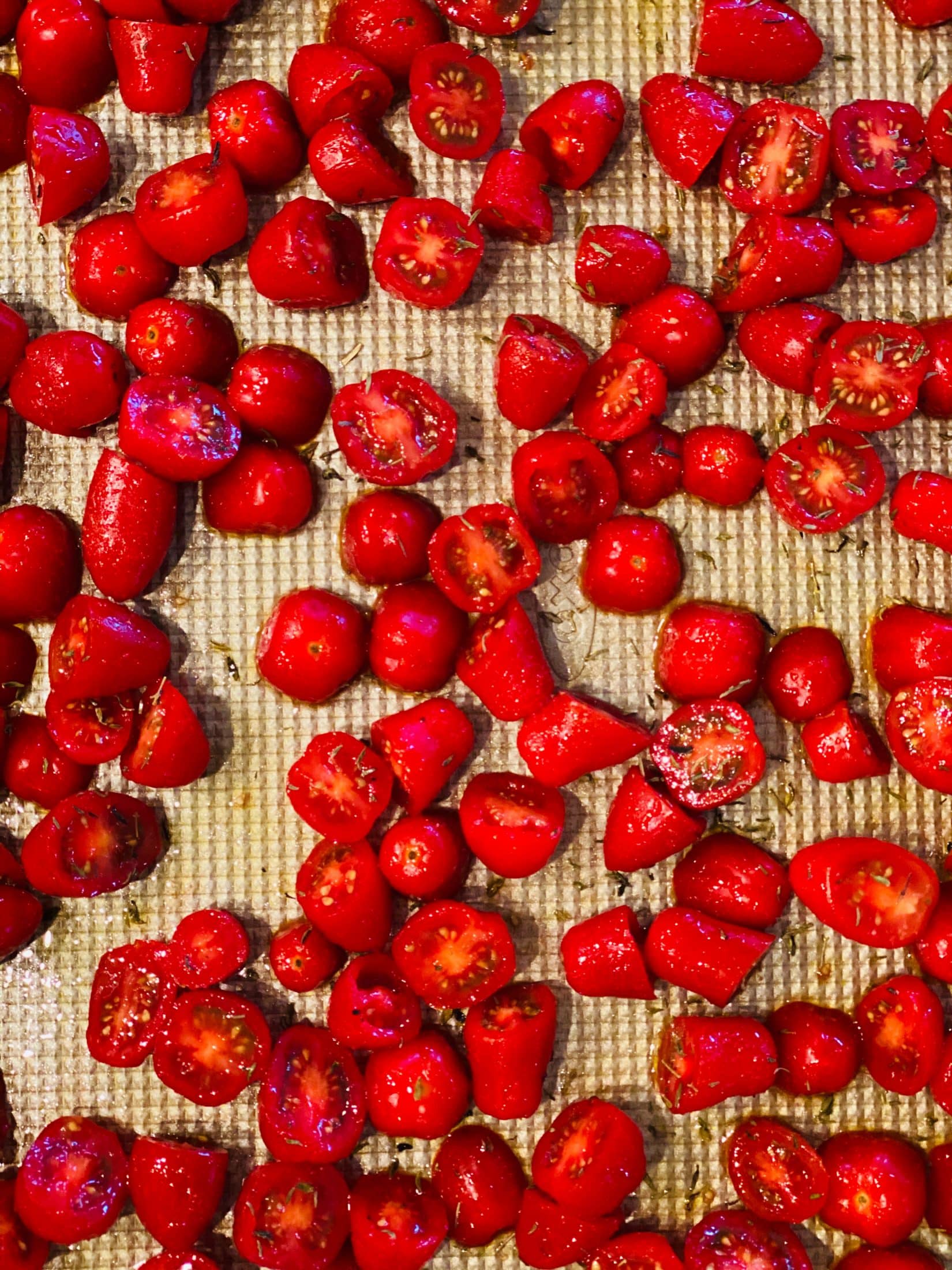 a week in the life, vol 12