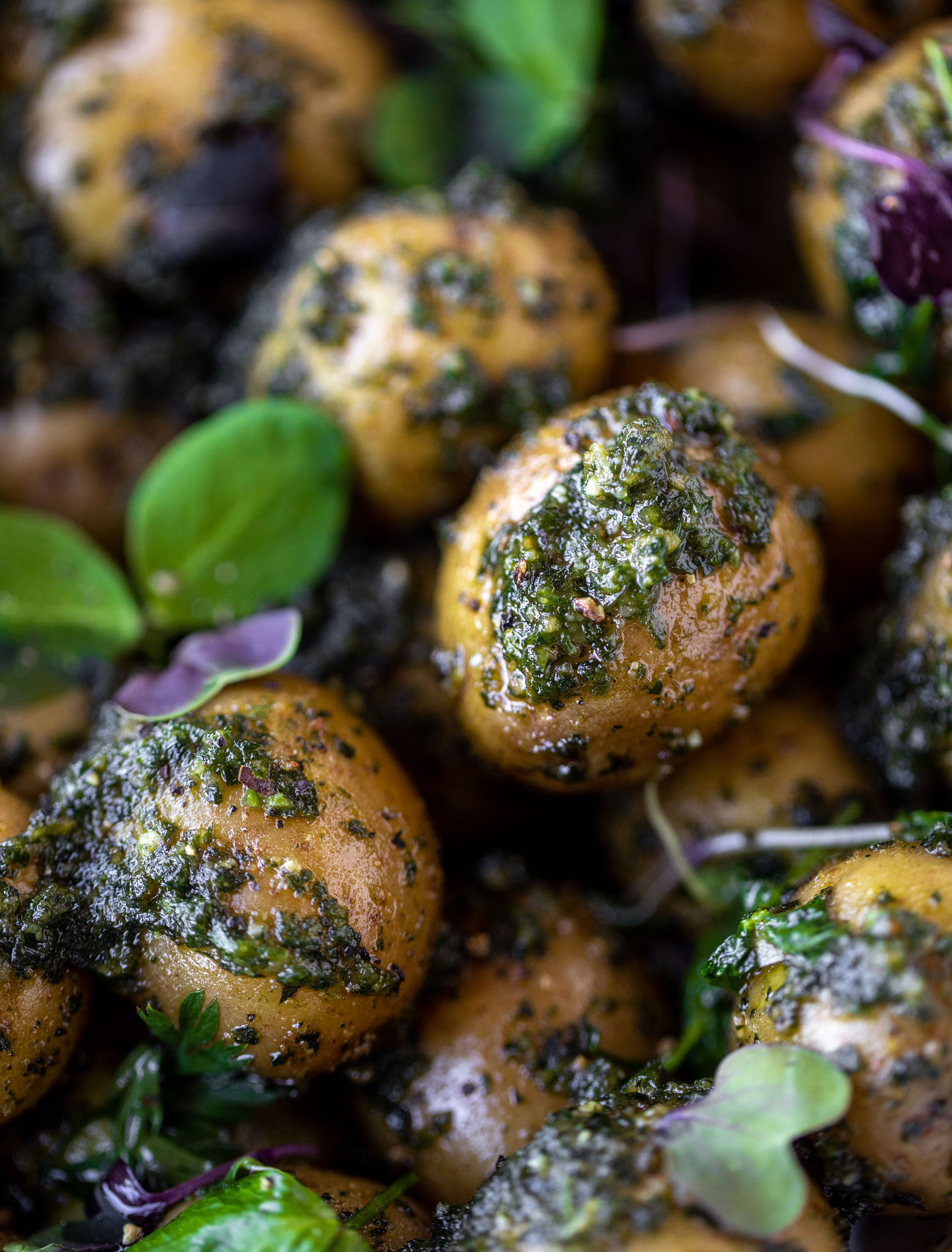 This pesto potato salad is made with carrot top pesto for the perfect spring side dish! Baby potatoes, pesto and greens make up this delish bowl.