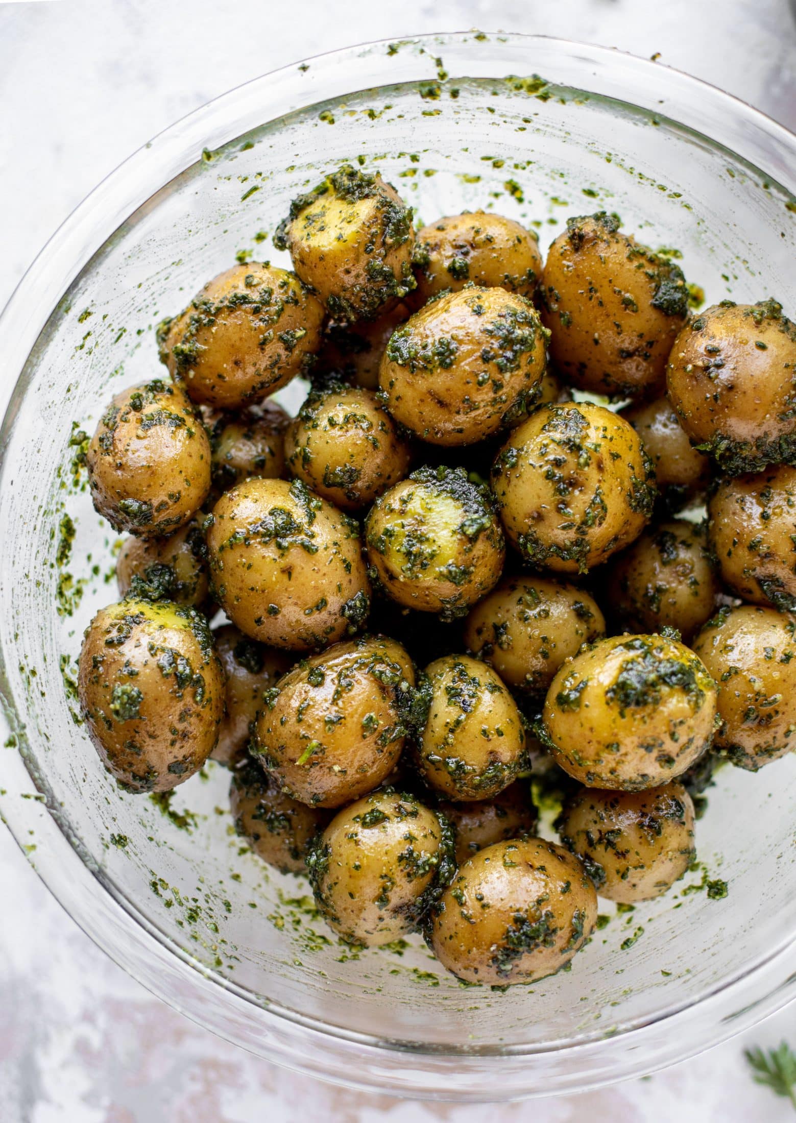 This pesto potato salad is made with carrot top pesto for the perfect spring side dish! Baby potatoes, pesto and greens make up this delish bowl.