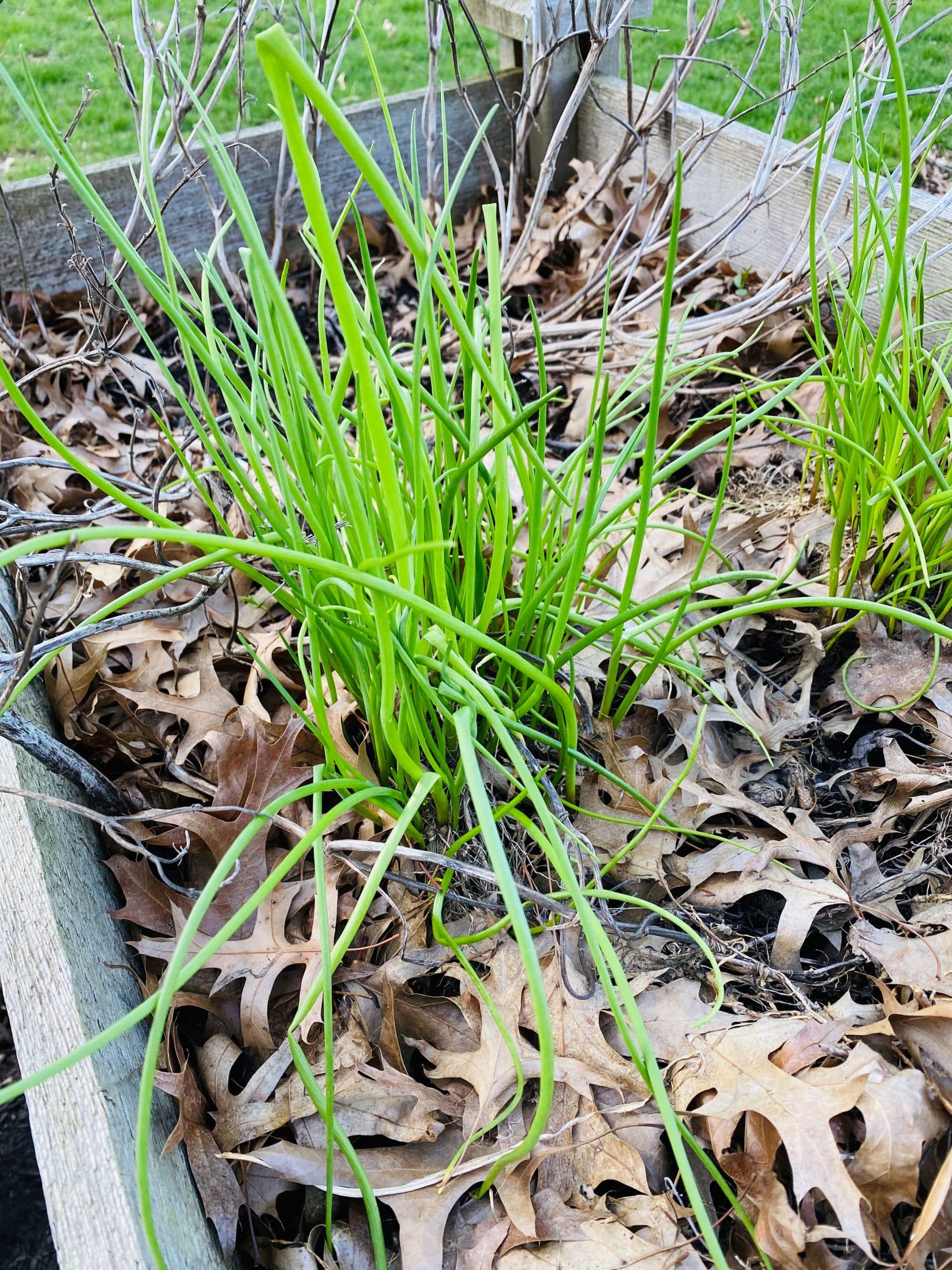 a week in the life, week 14