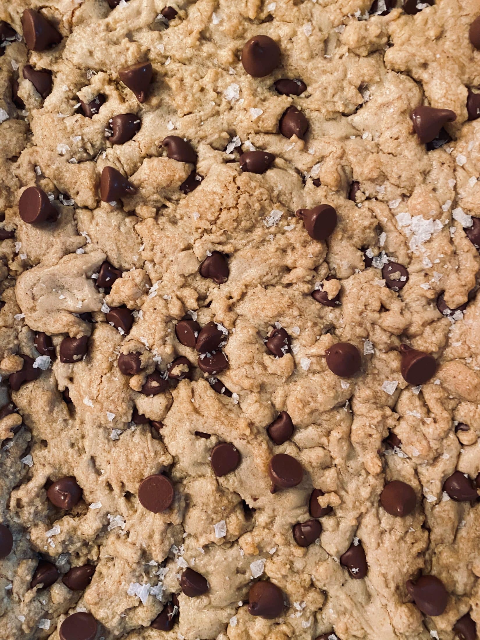 everyday life week 16