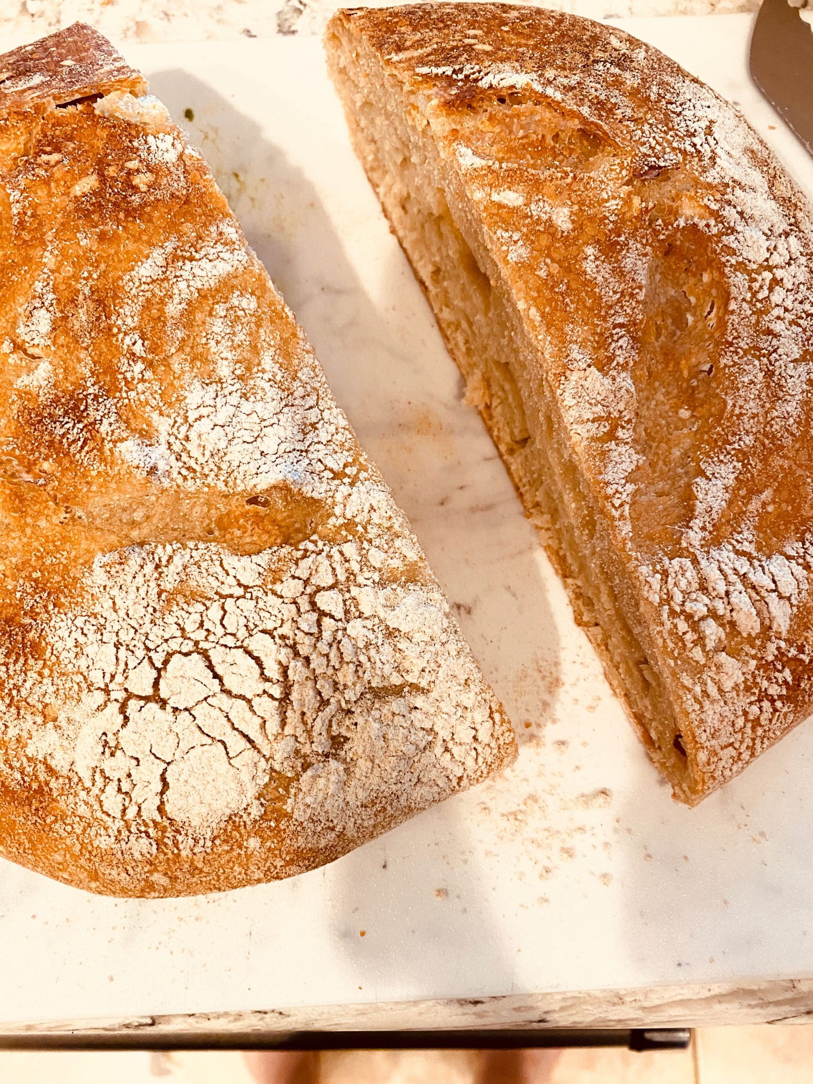 everyday life week 16