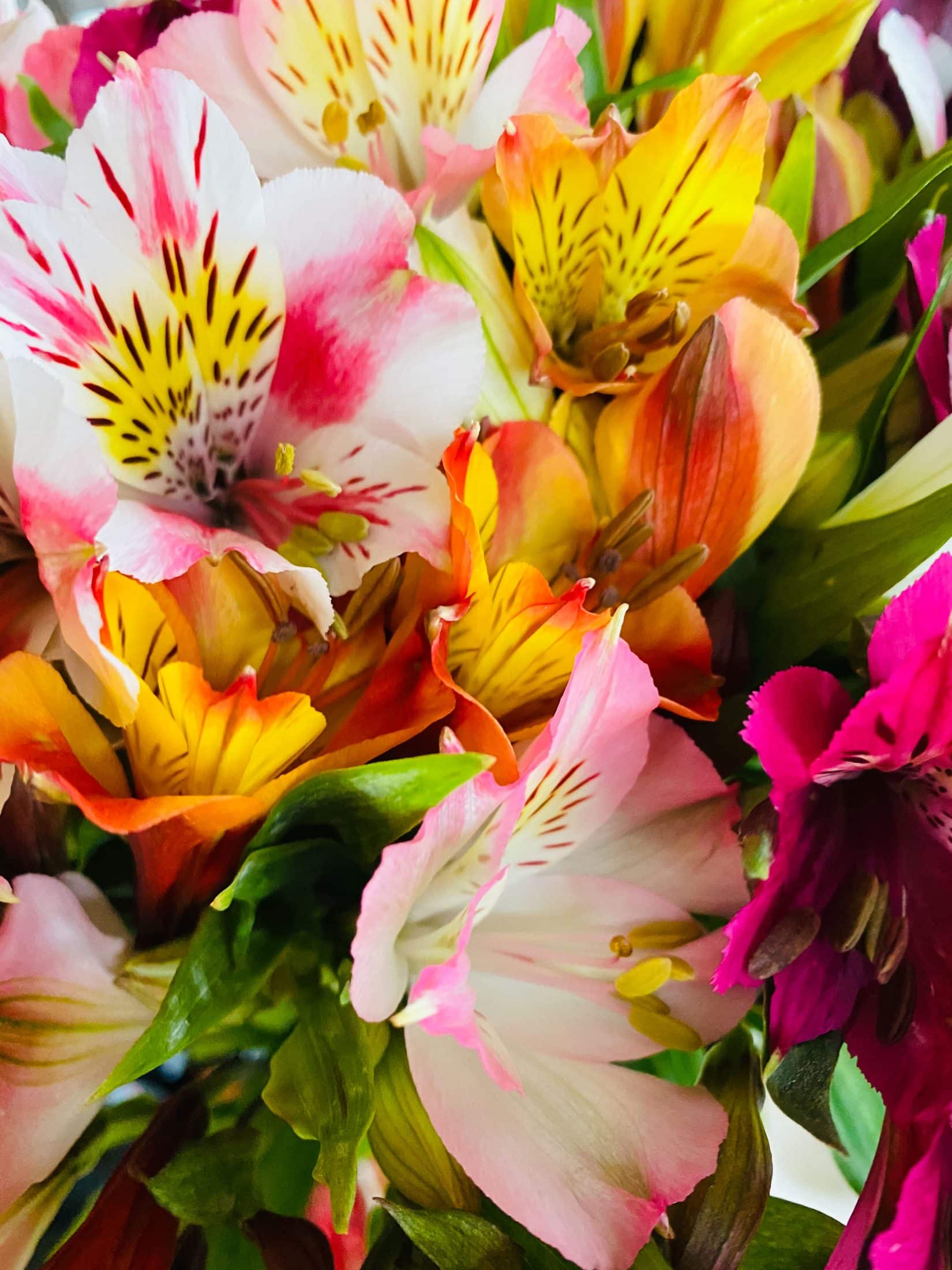 everyday life week 16