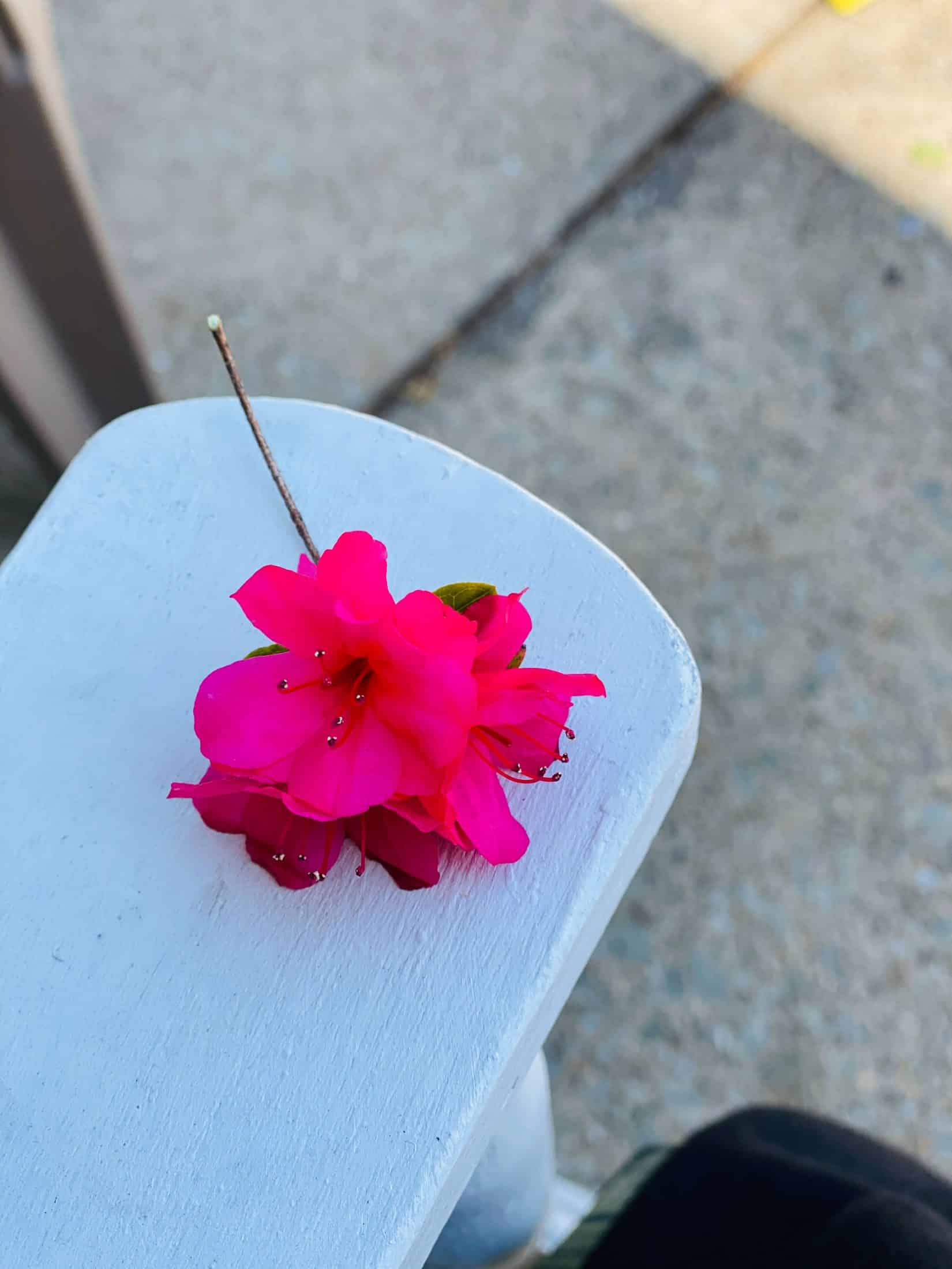 everyday life week 20