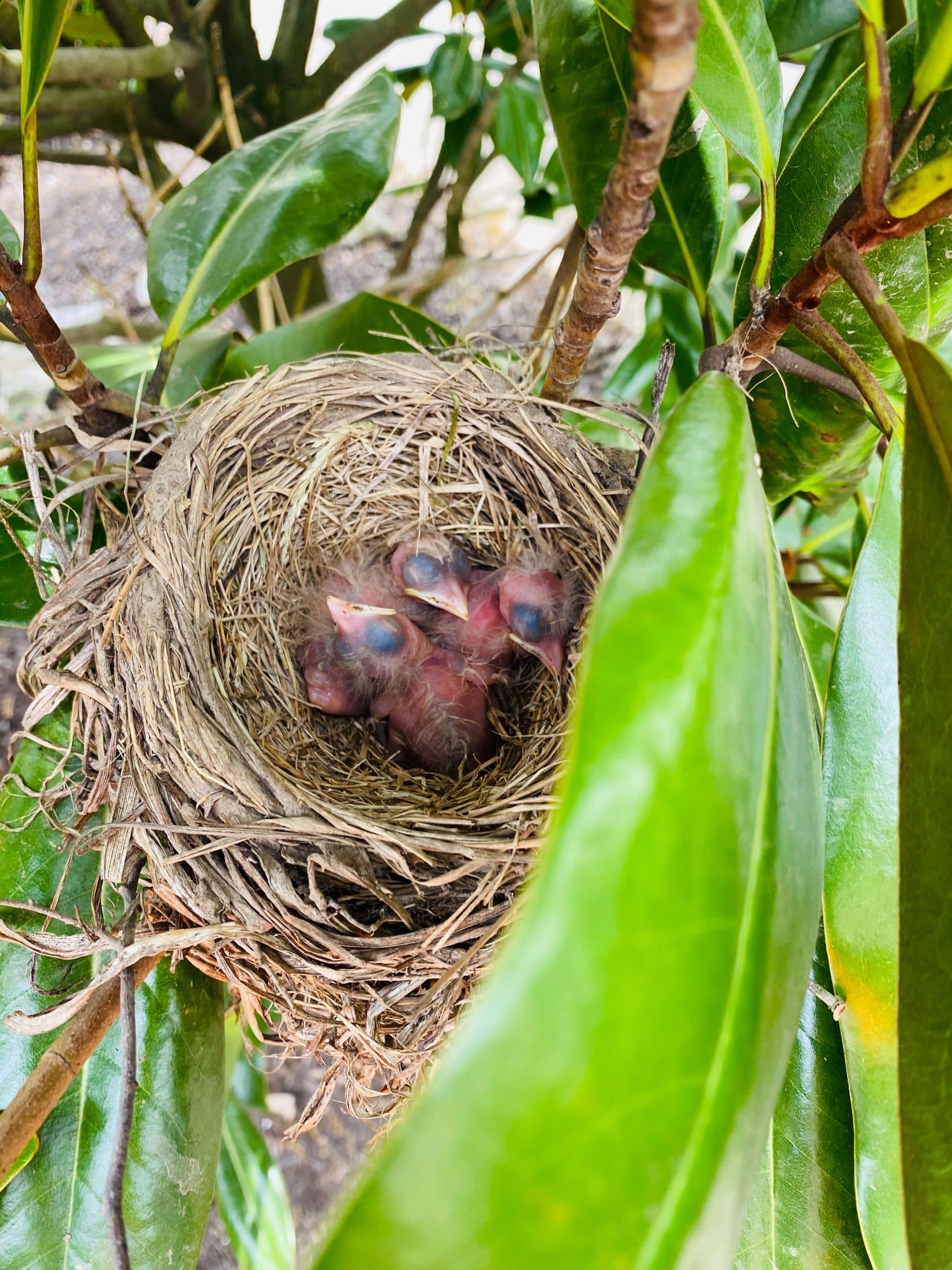 everyday life week 20