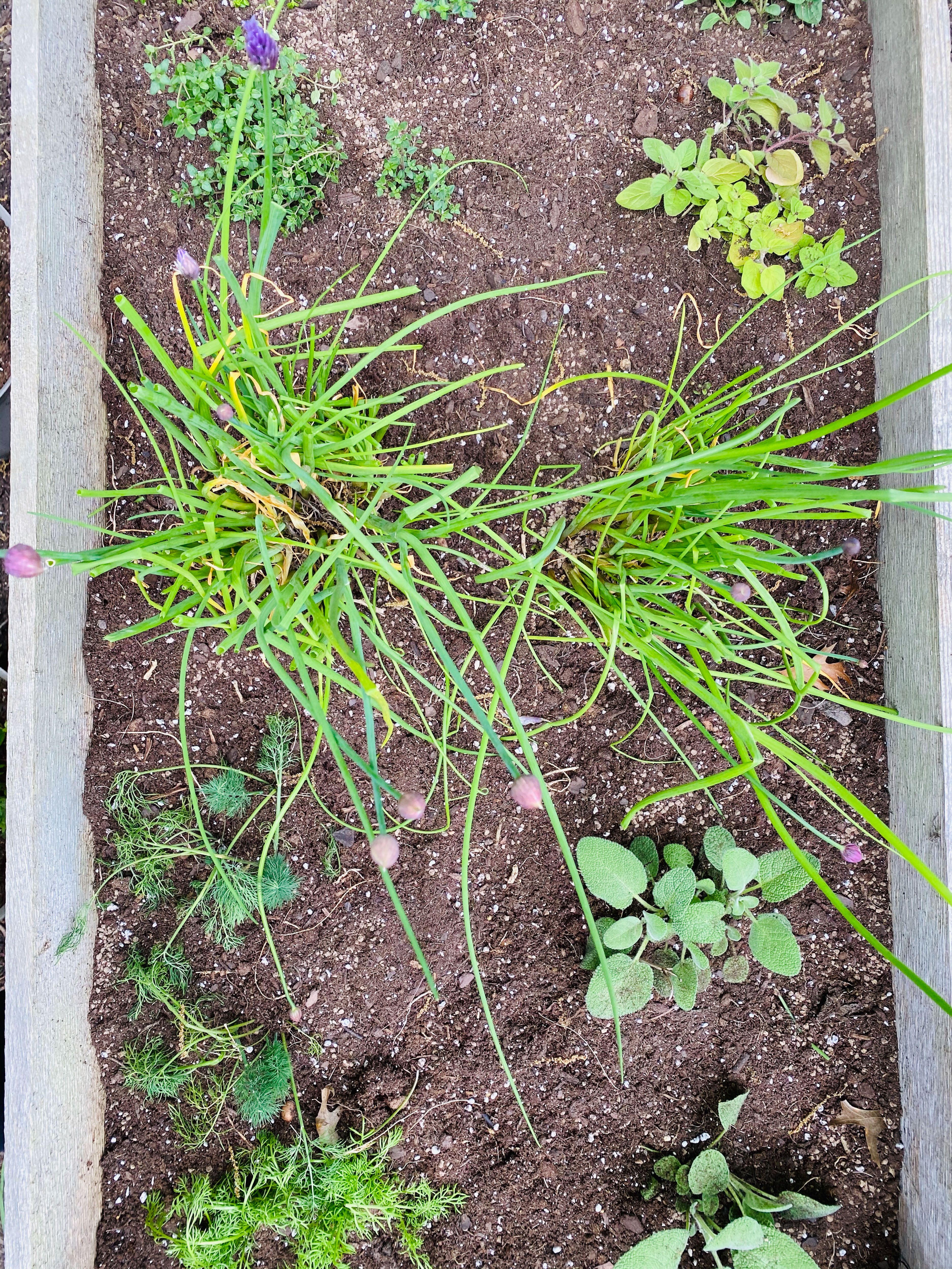 everyday life week 20