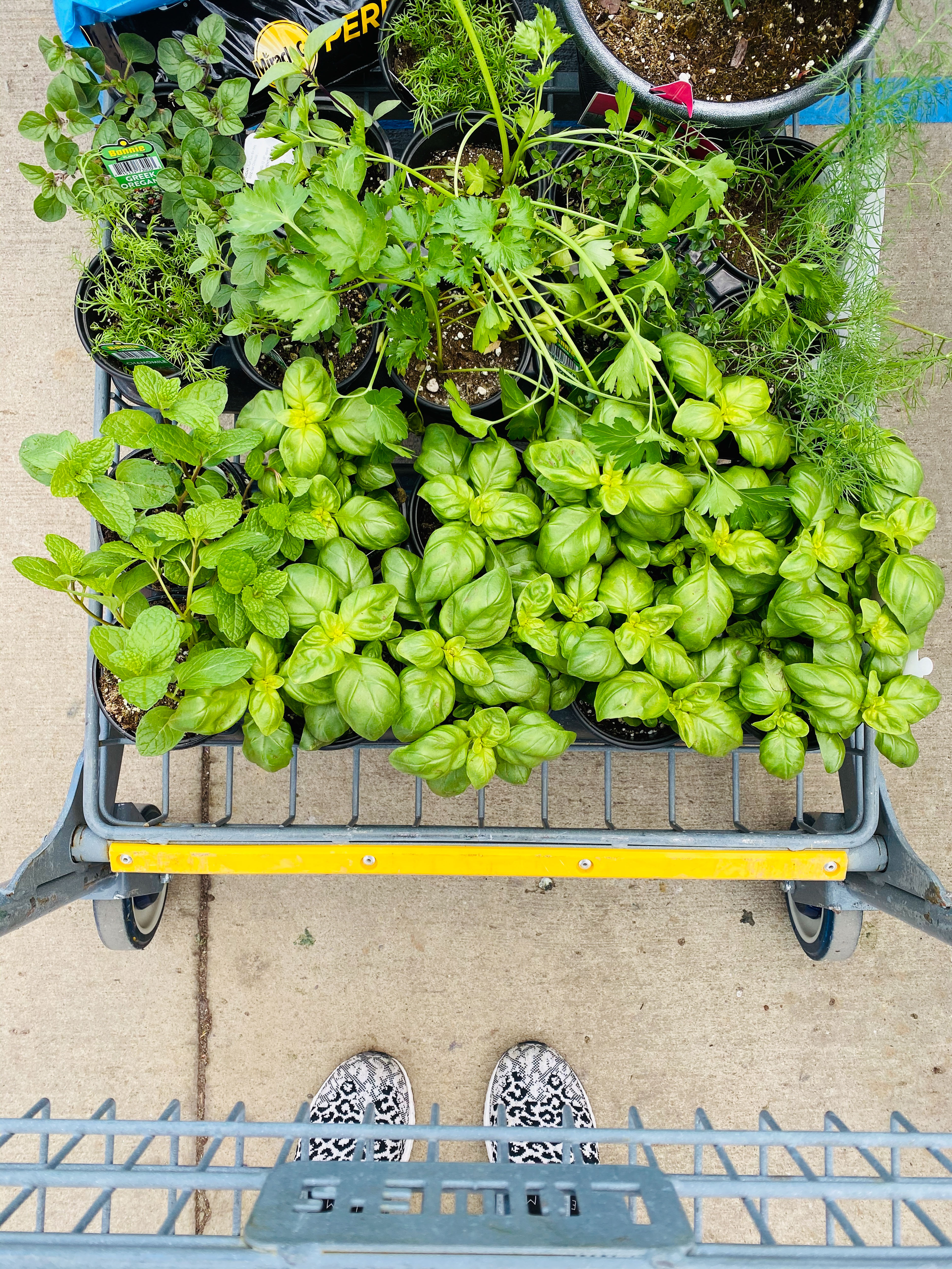 everyday life week 20