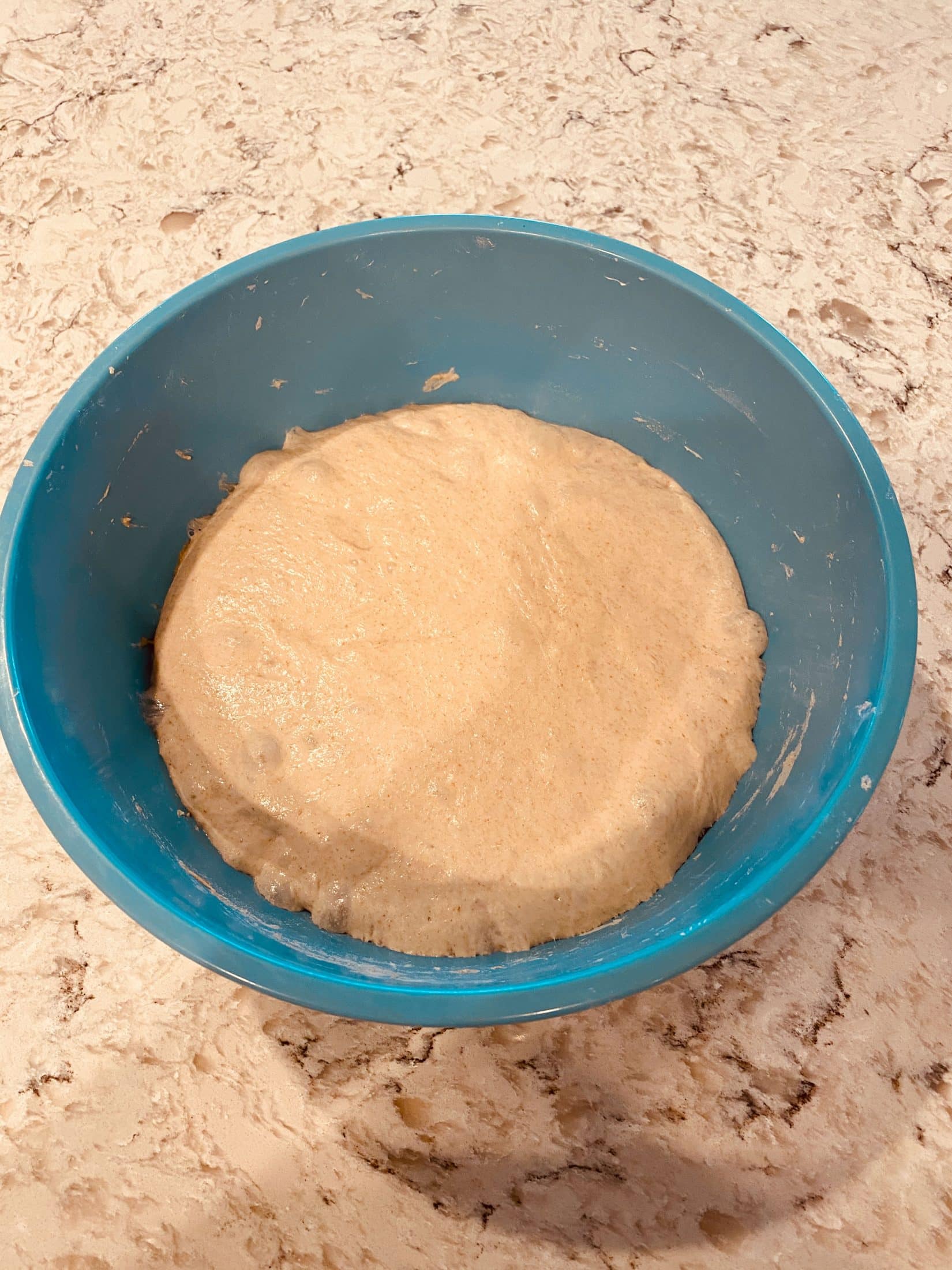 everyday life week 19