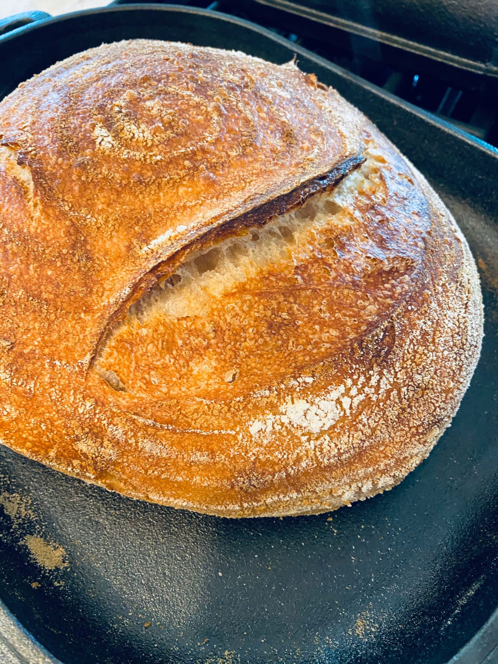 everyday life week 19