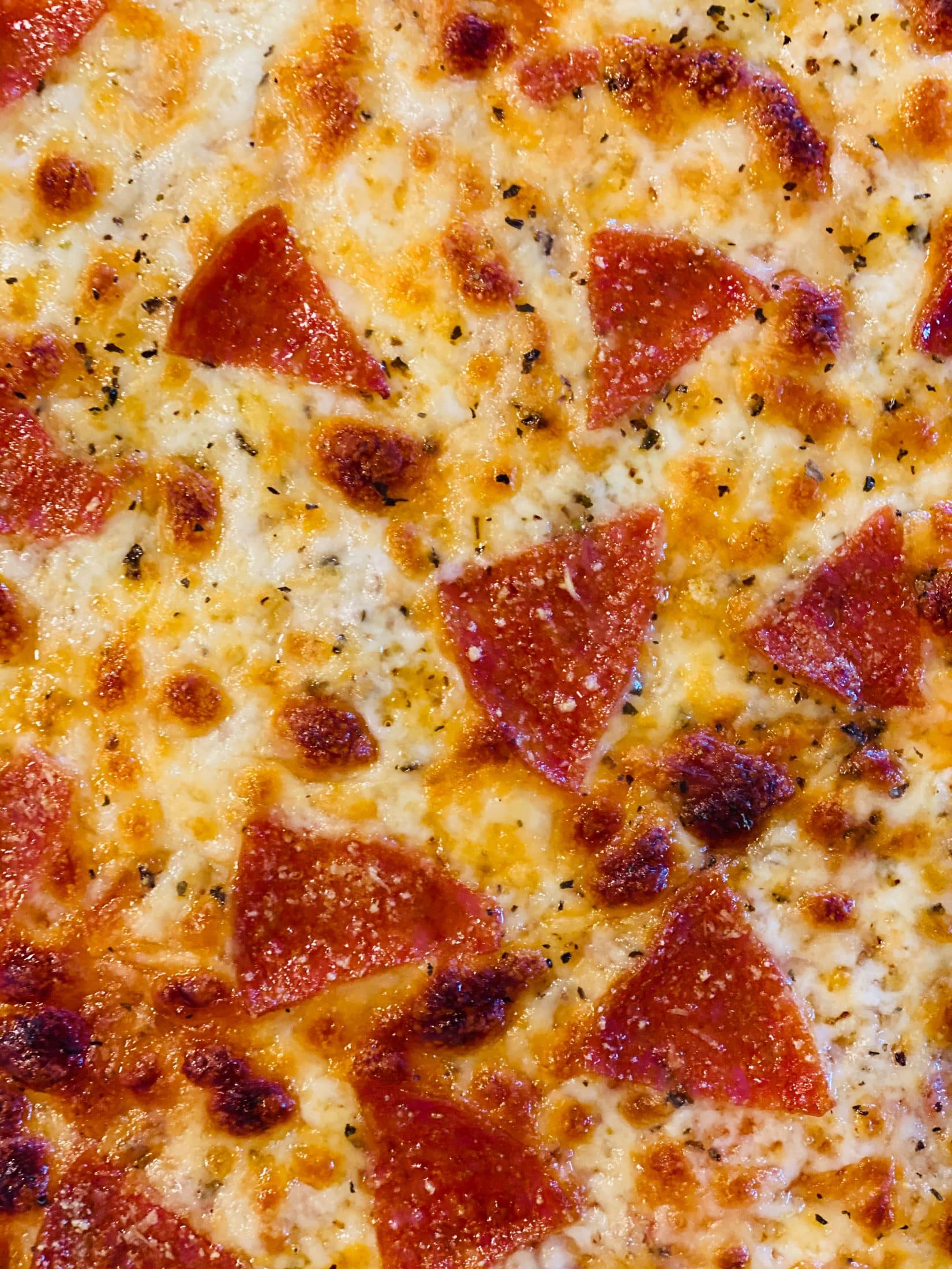 everyday life week 19