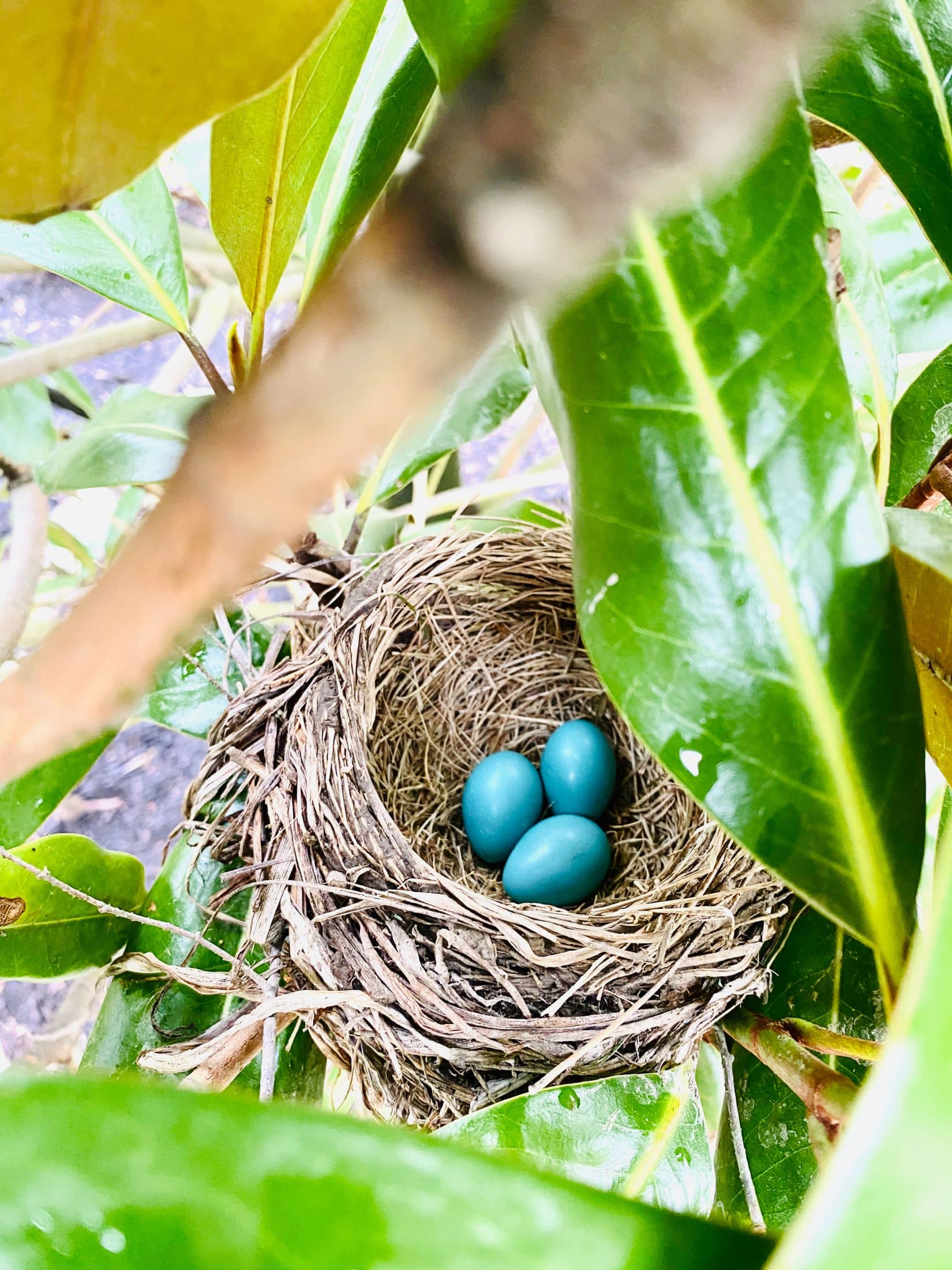 everyday life week 19