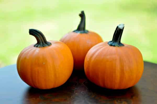 Harvest Apple Soup I howsweeteats.com Harvest Apple Soup I howsweeteats.com