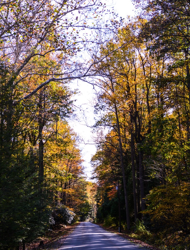 a little autumn sunday drive I howsweeteats.com