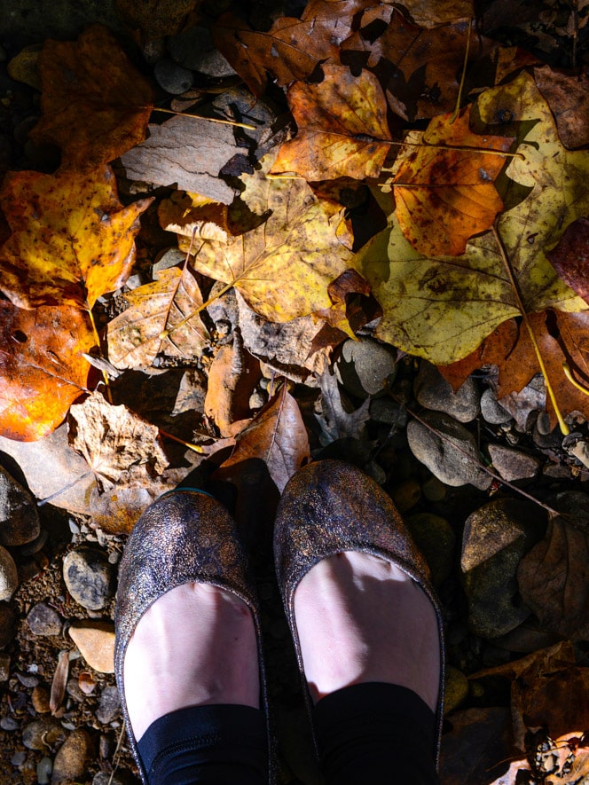 October Lifestyle Favorites I howsweeteats.com October Lifestyle Favorites I howsweeteats.com