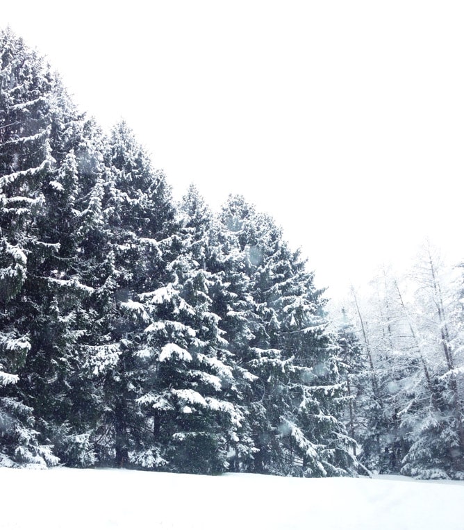 tuesday things I howsweeteats.com tuesday things I howsweeteats.com