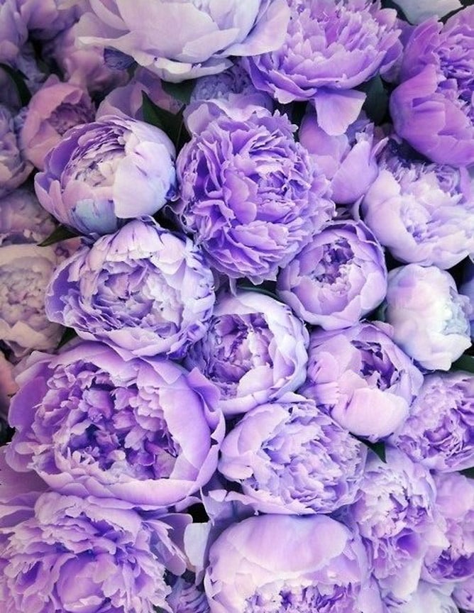 currently crushing on I howsweeteats.com