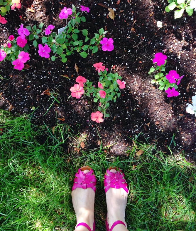 may favorites I howsweeteats.com