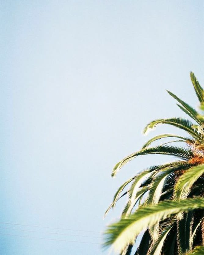 currently crushing on I howsweeteats.com