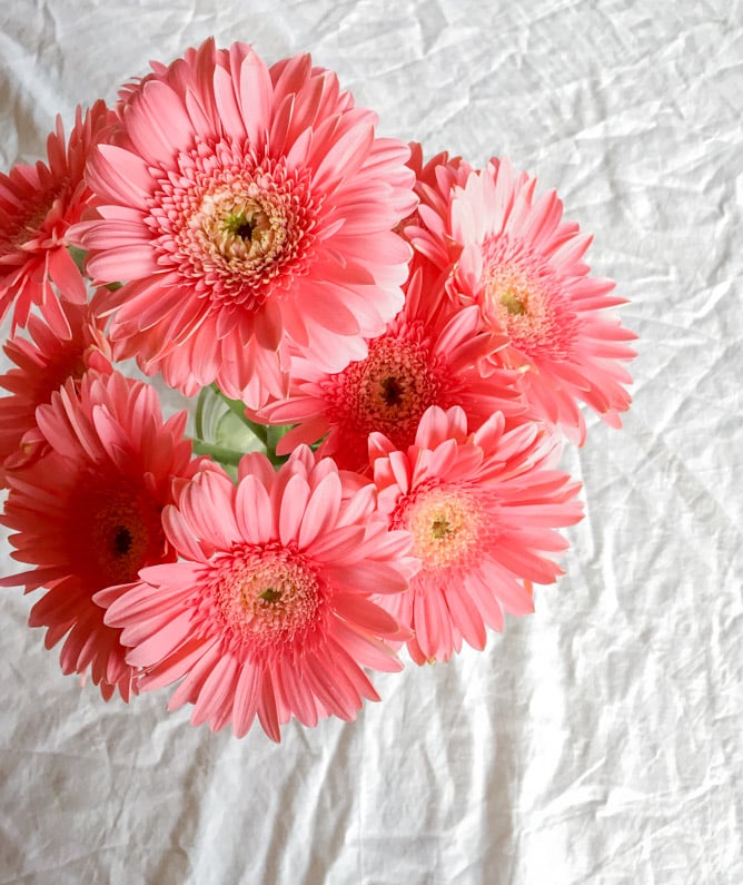 tuesday things I howsweeteats.com