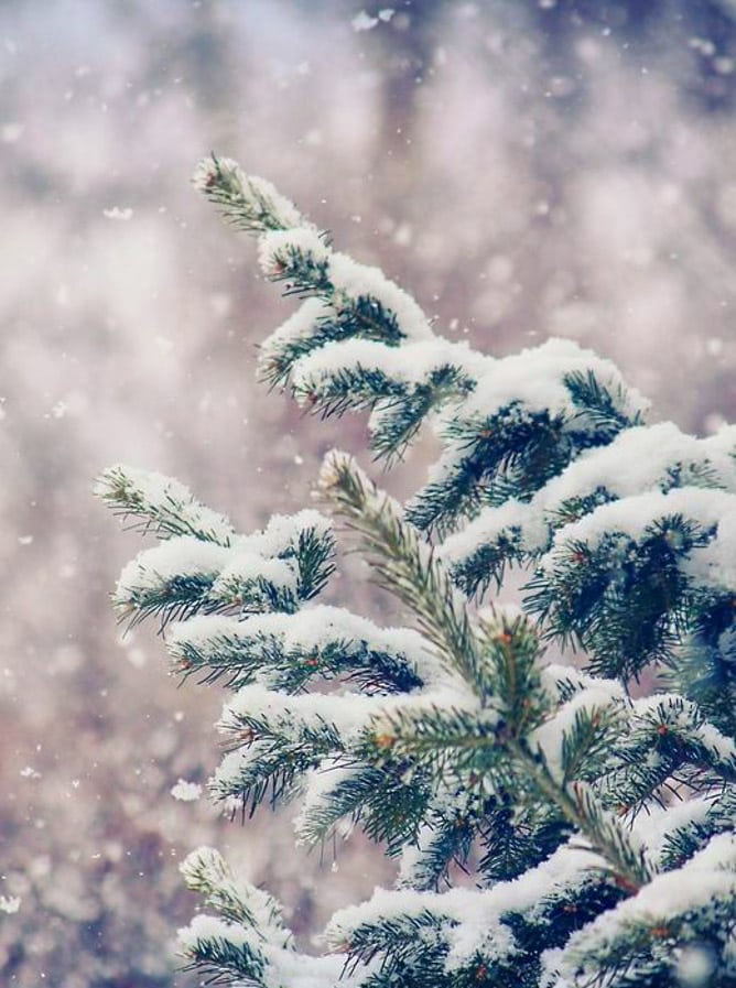 currently crushing on I howsweeteats.com