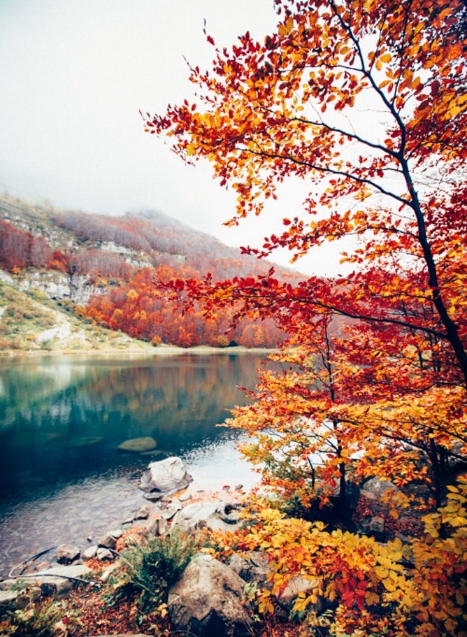 currently crushing on I howsweeteats.com 