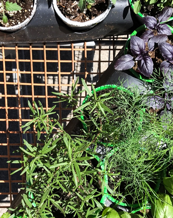 tuesday things I howsweeteats.com