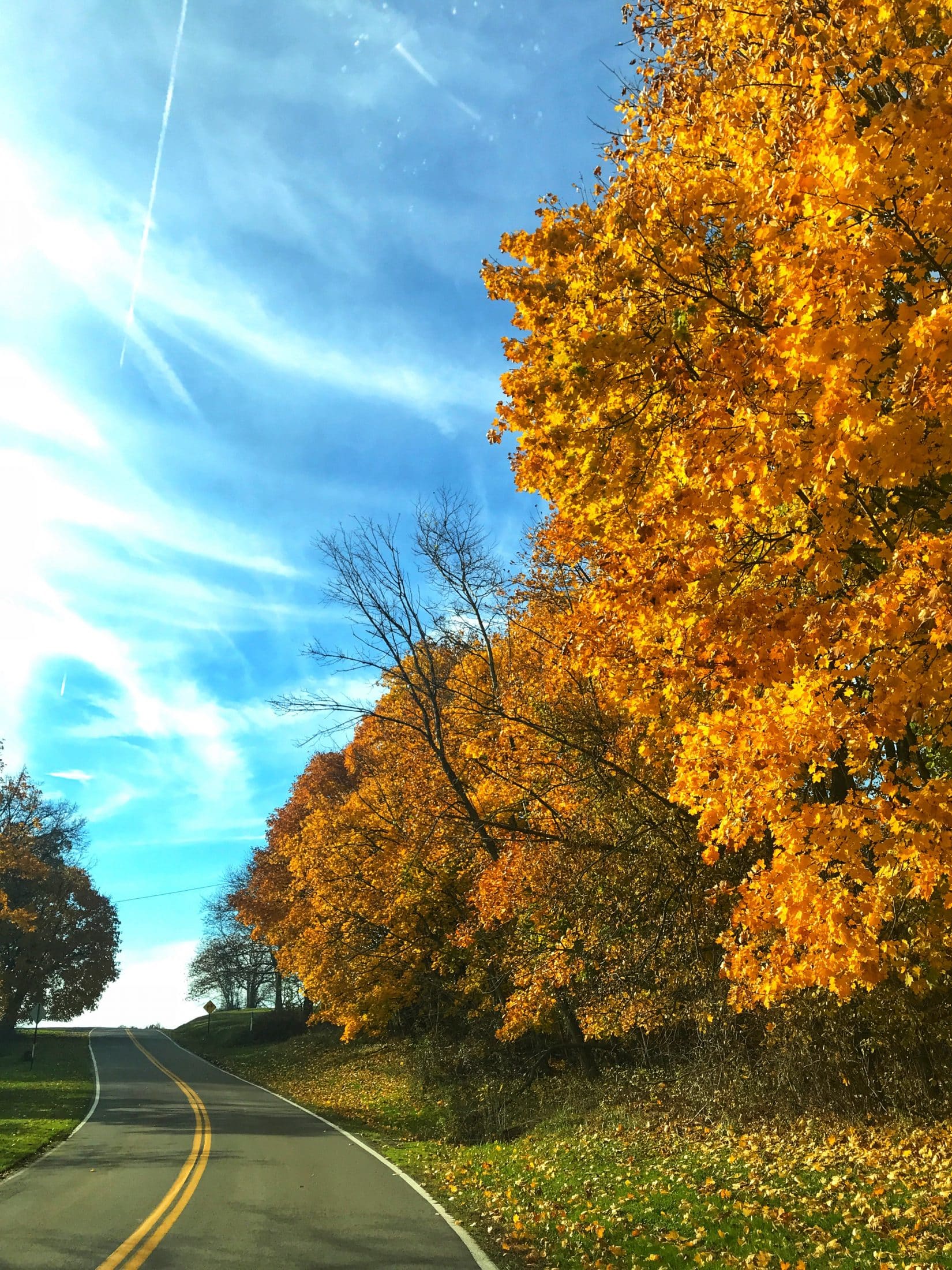 tuesday things I howsweeteats.com