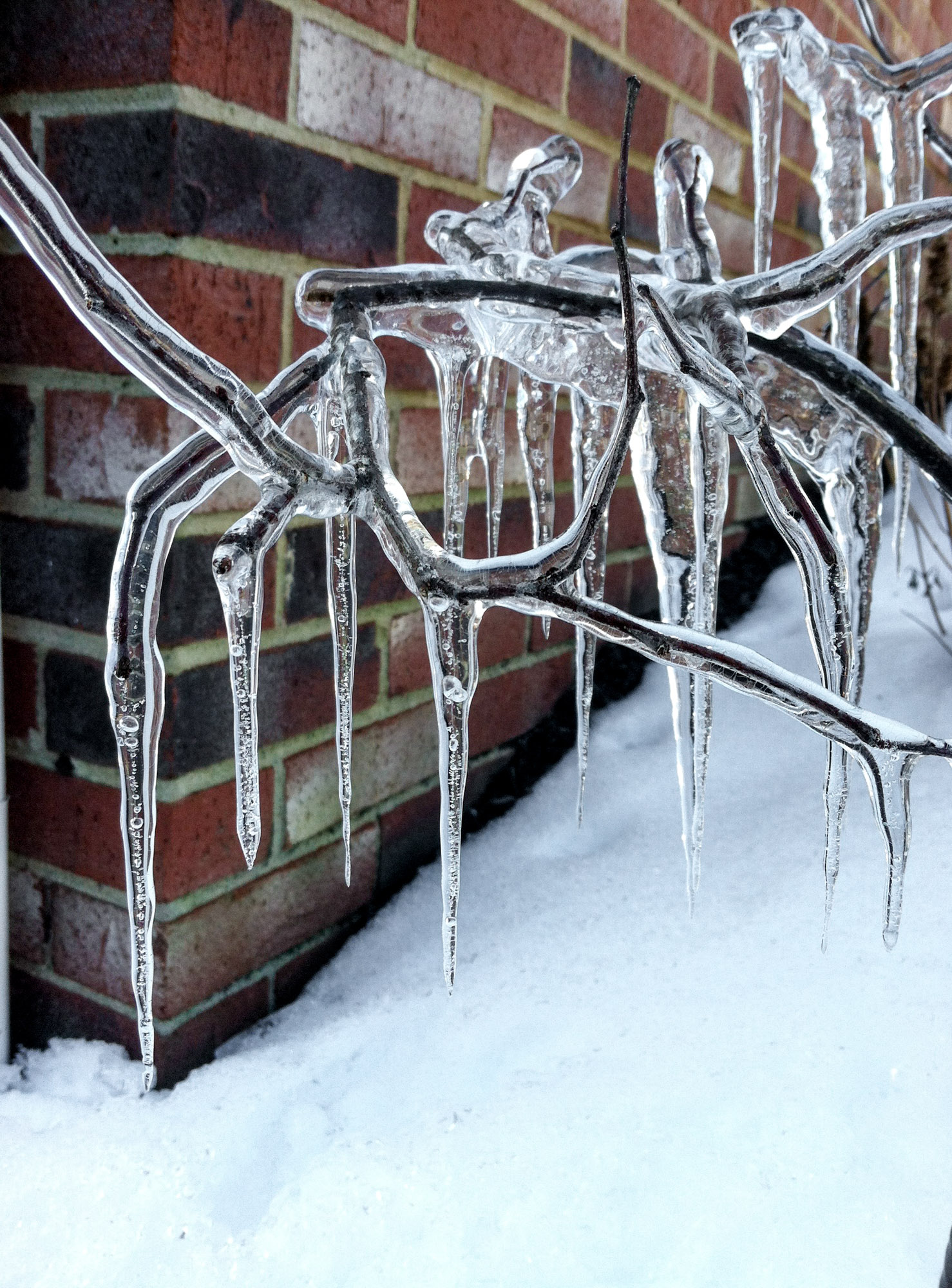 currently crushing on I howsweeteats.com