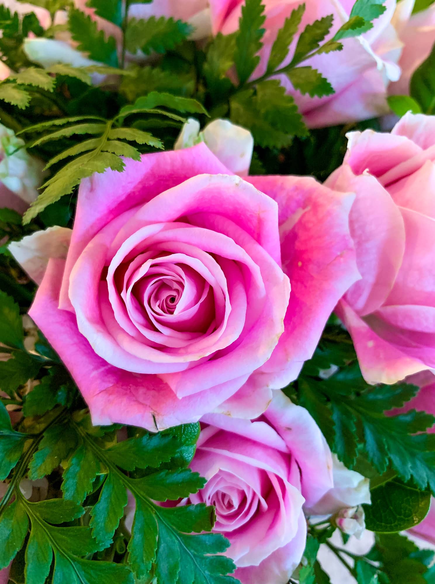 currently crushing on I howsweeteats.com