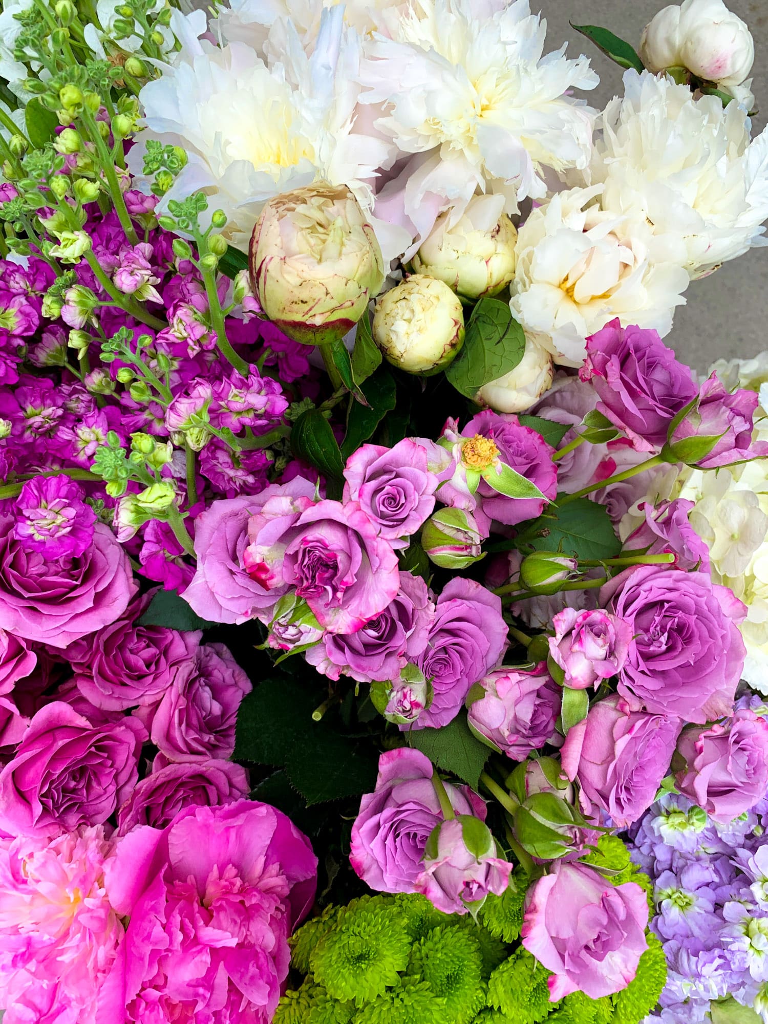 currently crushing on