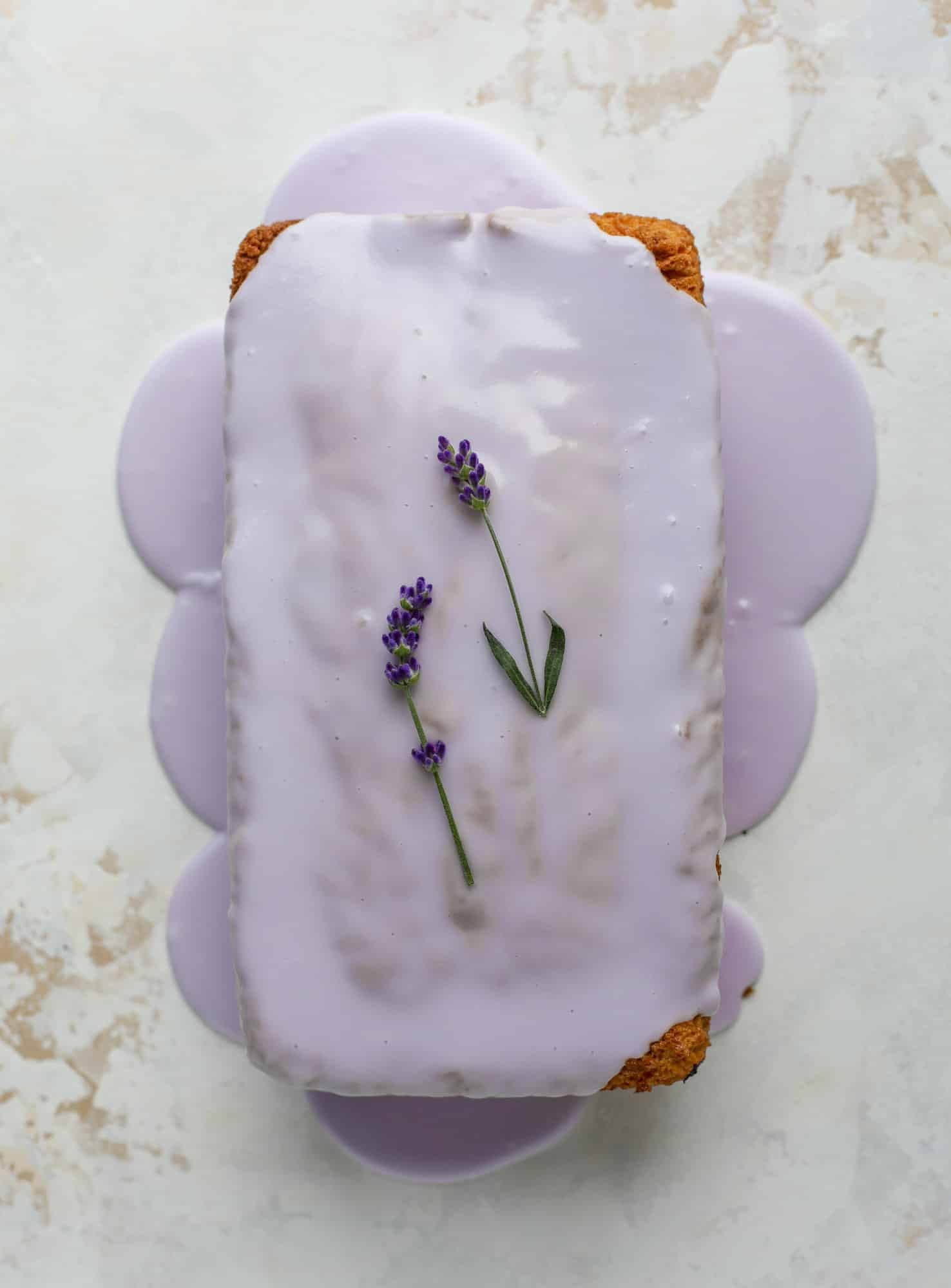 This lovely blueberry ricotta cake is covered in a lavender glaze and the perfect recipe for blueberry season! It's rich and light and super flavorful.