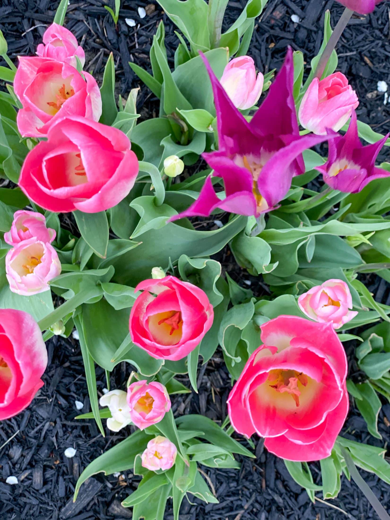 everyday life week 16