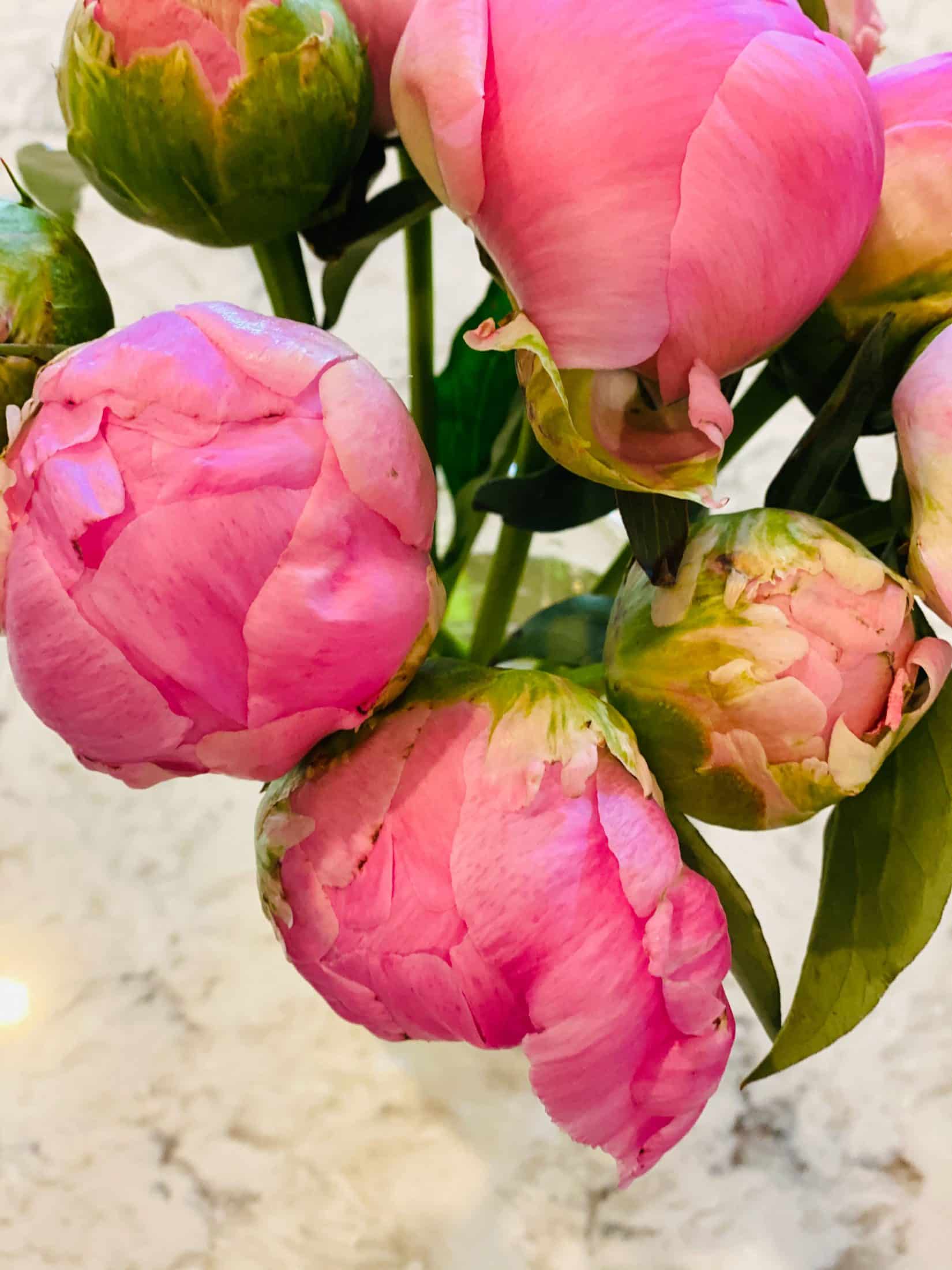 everyday life week 22