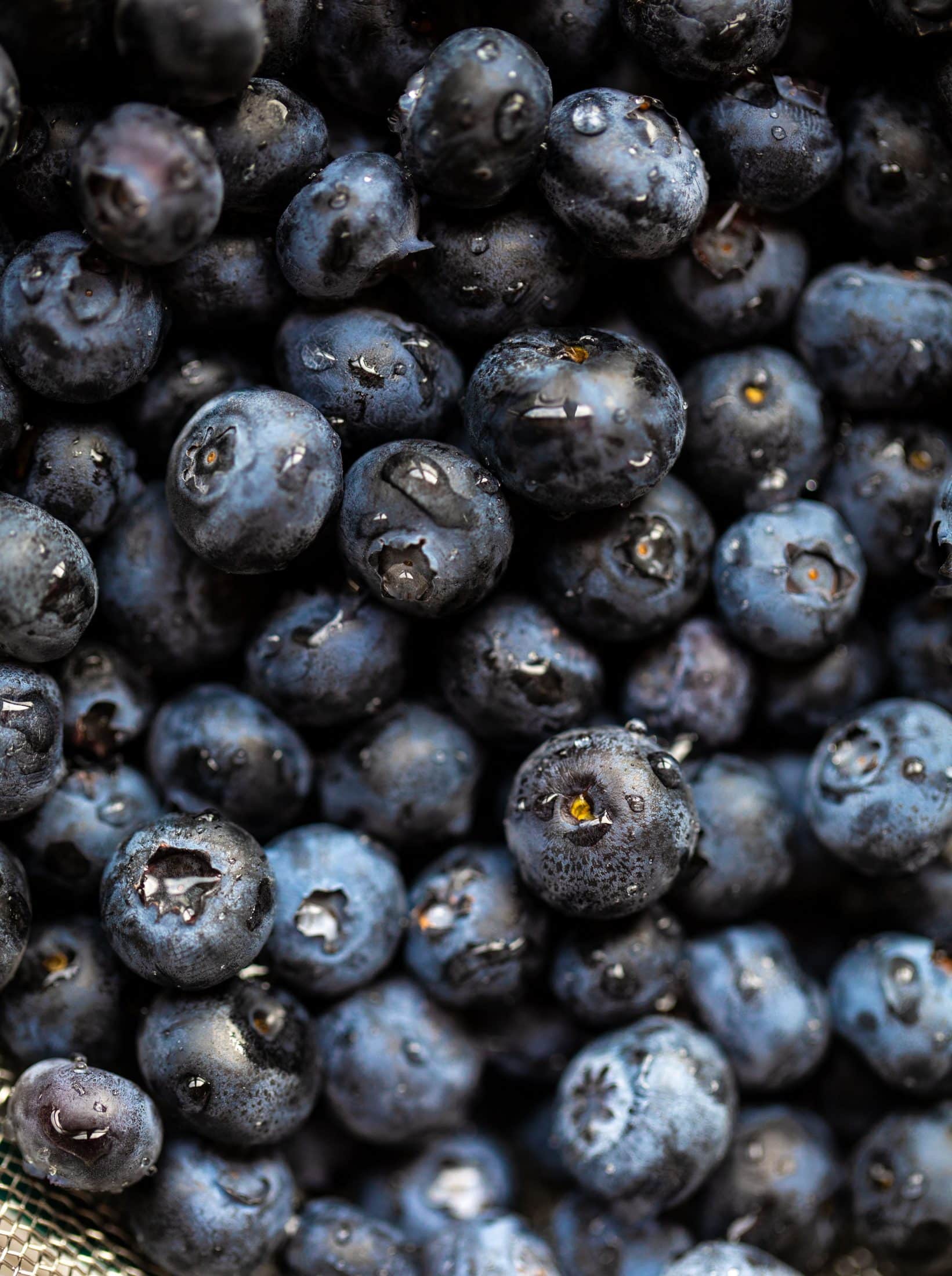 fresh blueberries