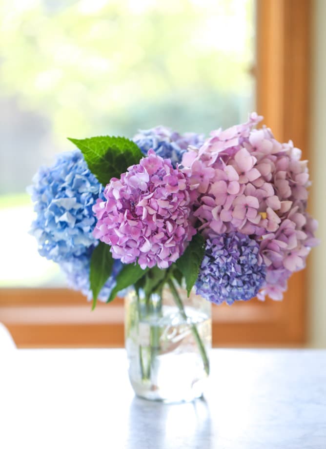 currently crushing on