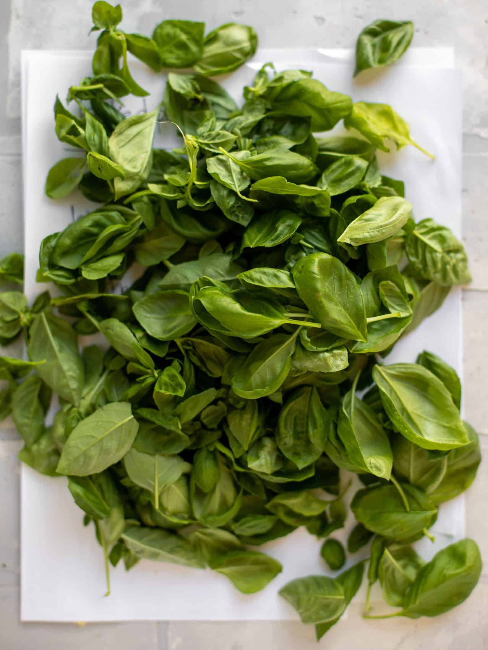 fresh basil leaves