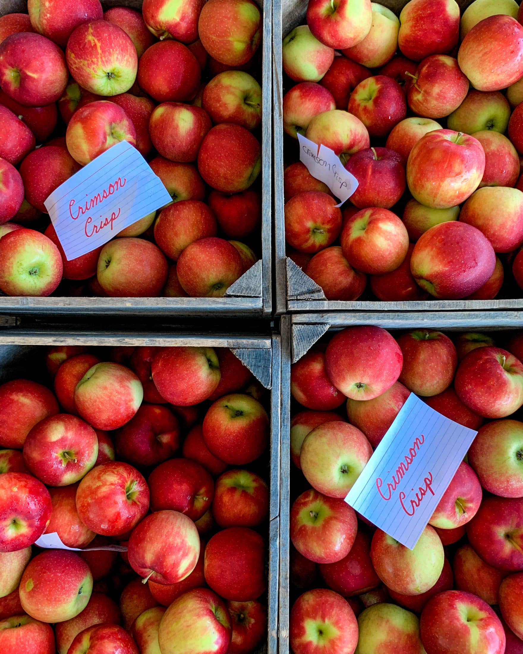 currently crushing on