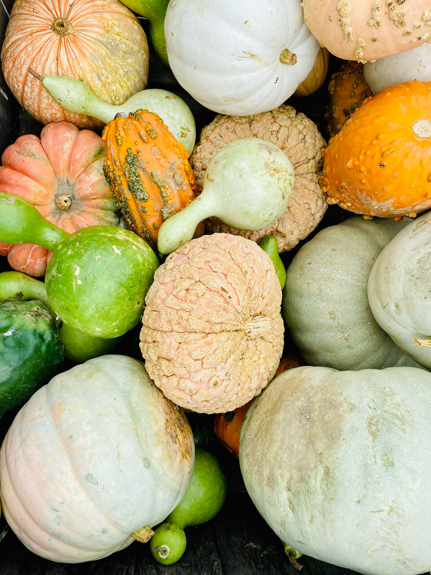 currently crushing on