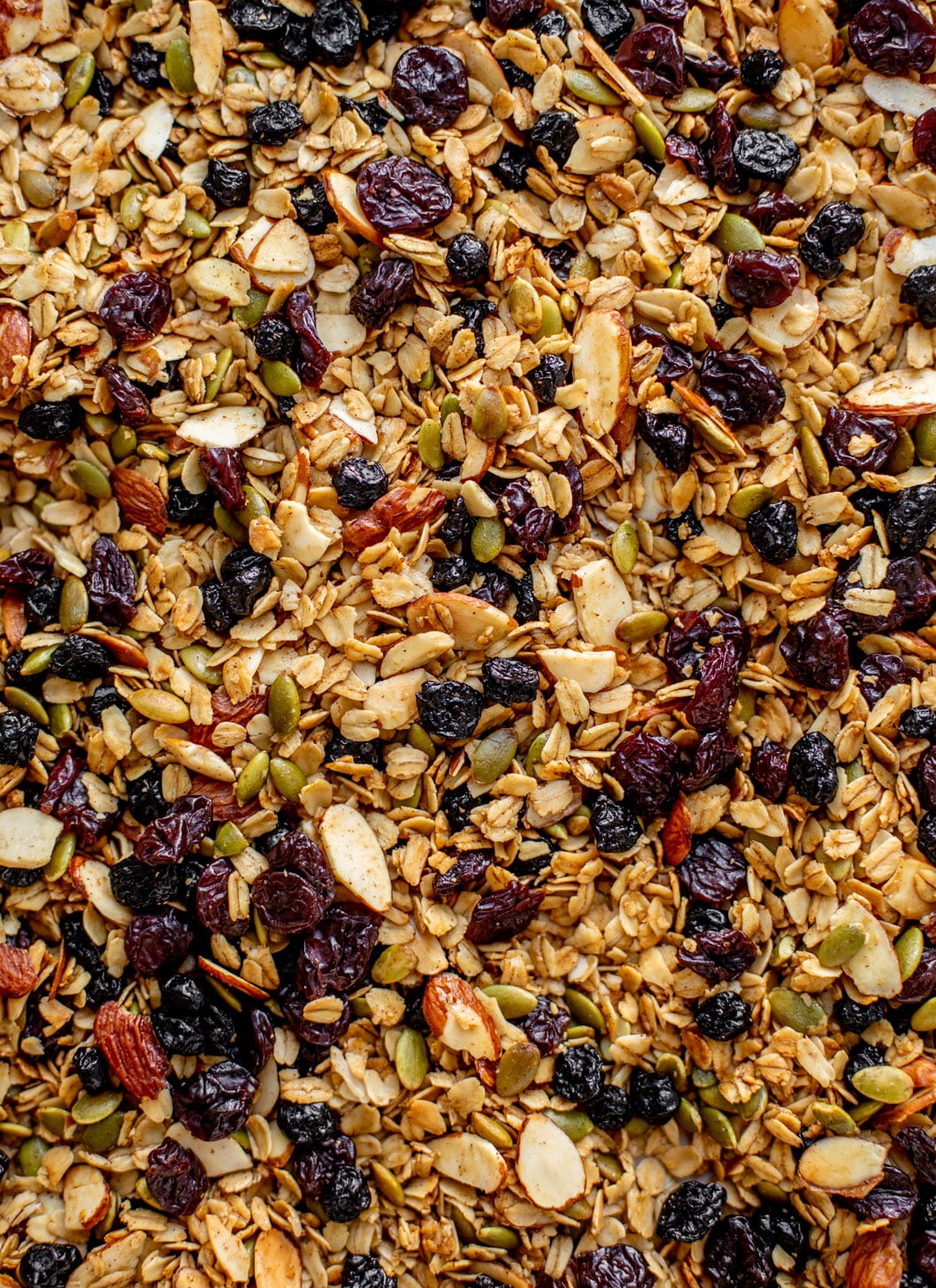 salted maple granola with dried cherries and blueberries