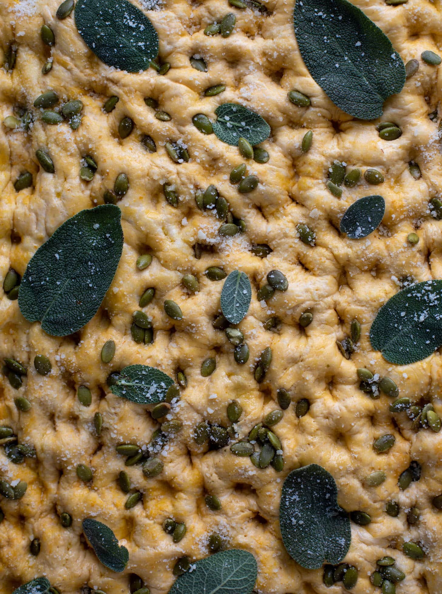 pumpkin focaccia bread with sage and pepitas