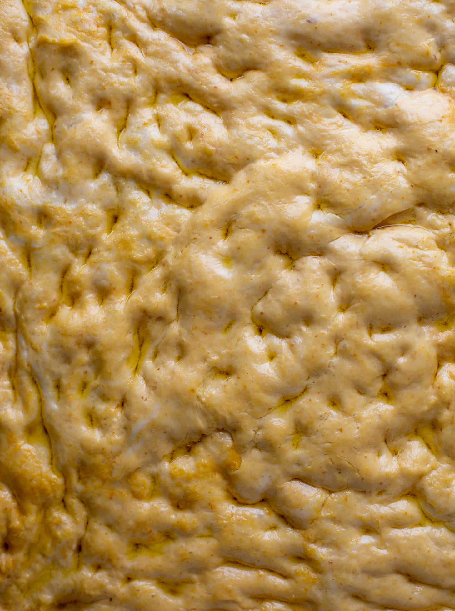 pumpkin focaccia dough