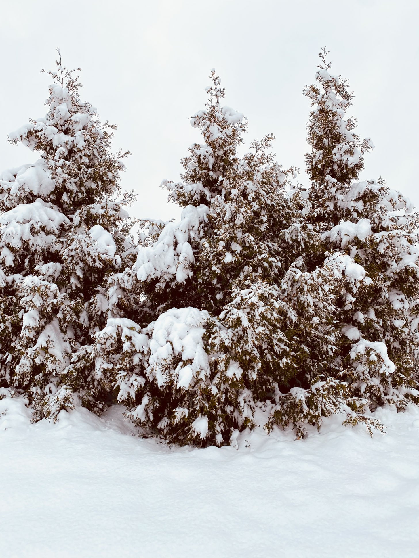 currently crushing on