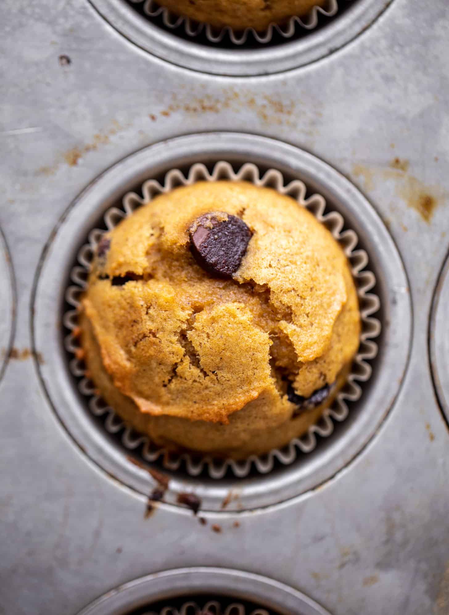 pumpkin chocolate chip muffins