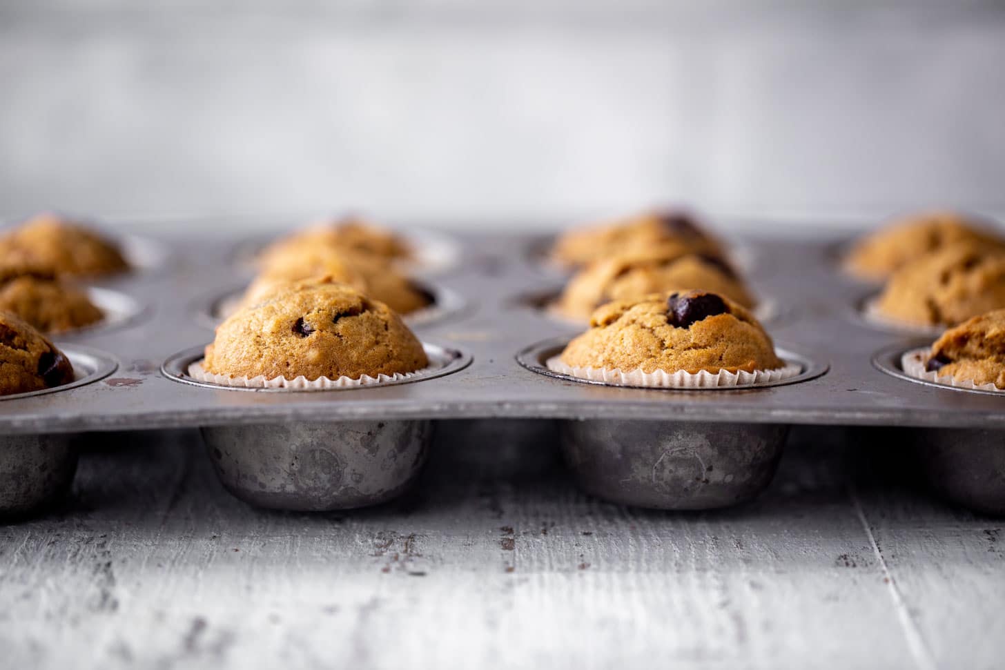 baked pumpkin chocolate chip muffins